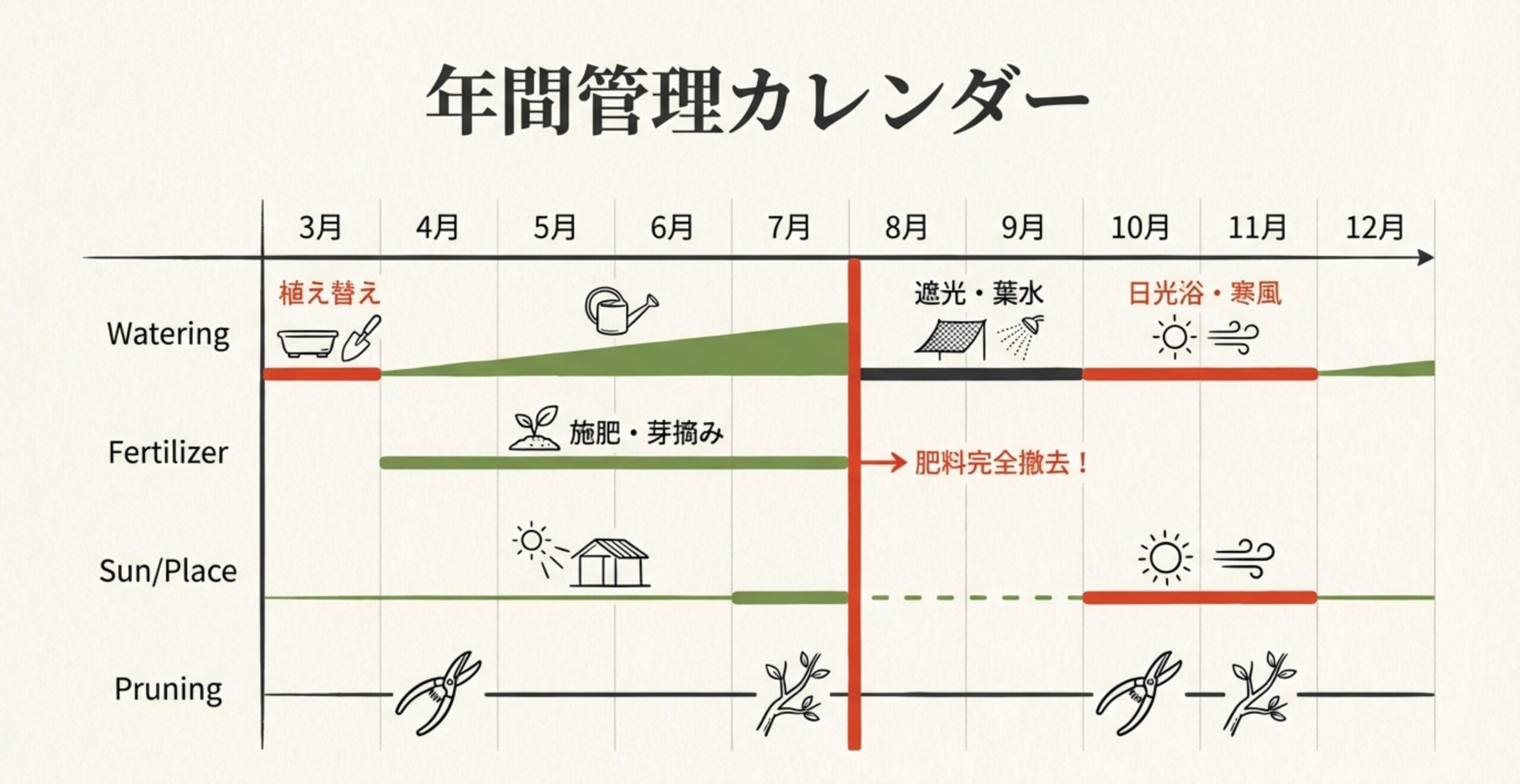 ハゼ盆栽の1月から12月までの年間管理カレンダー。植え替え、施肥、遮光、剪定のタイミングを一覧化した表