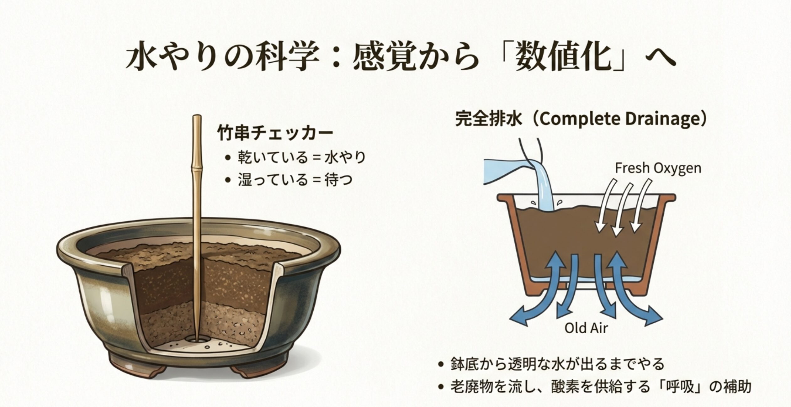 盆栽の鉢の断面図に竹串が刺さっているイラスト。乾いているときは水やり、湿っているときは待つという解説。