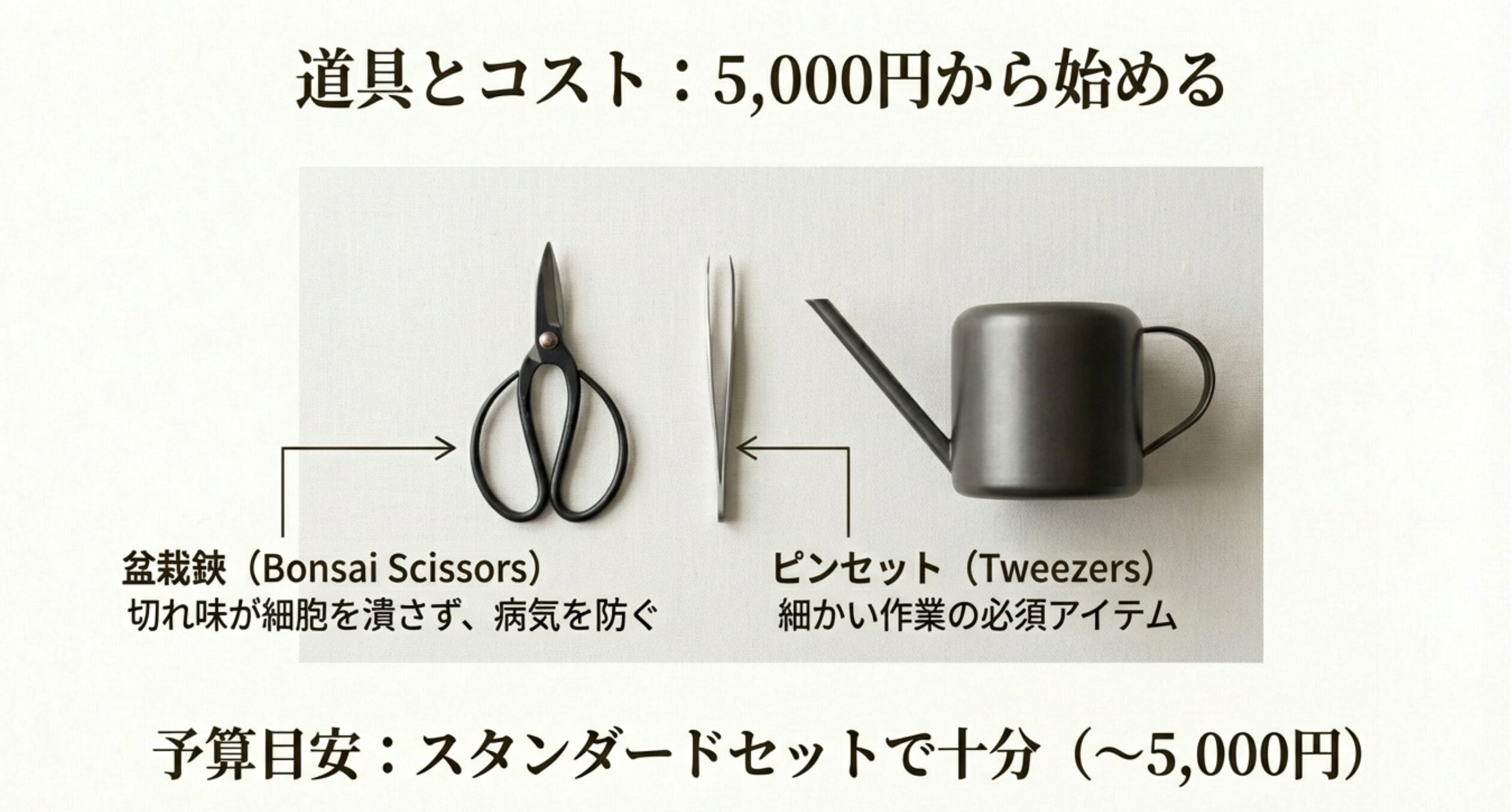 盆栽鋏とピンセットのイラスト。5,000円程度のスタンダードセットで十分であることを示すガイド。