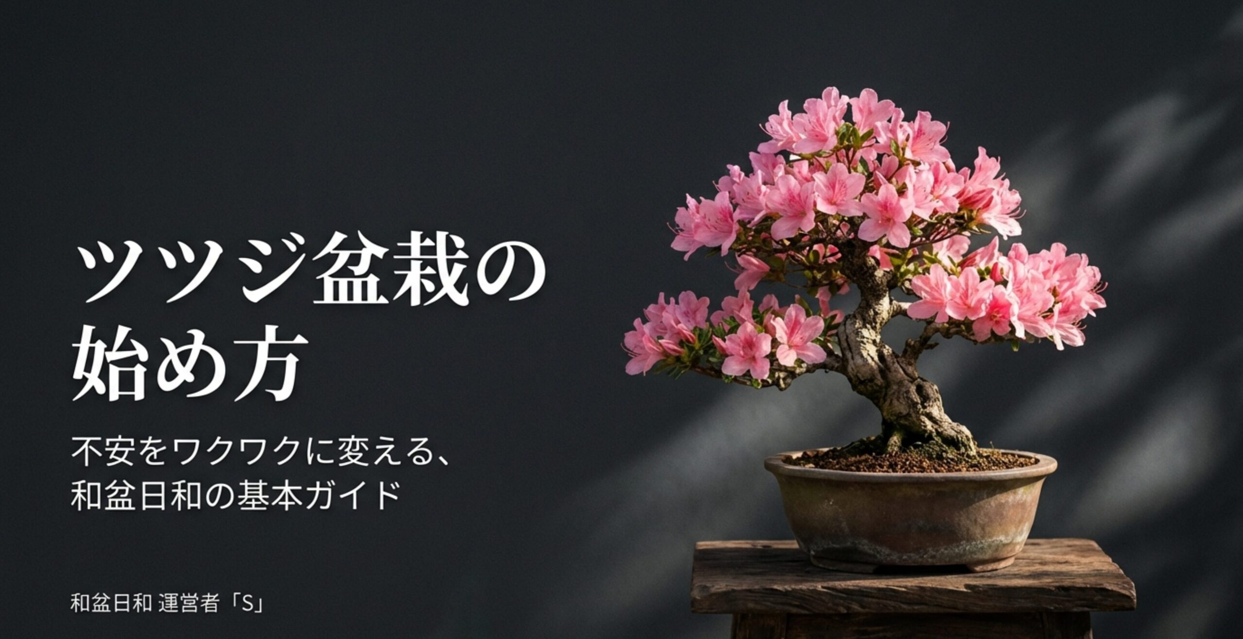 ツツジ盆栽の作り方！初心者も安心の育て方