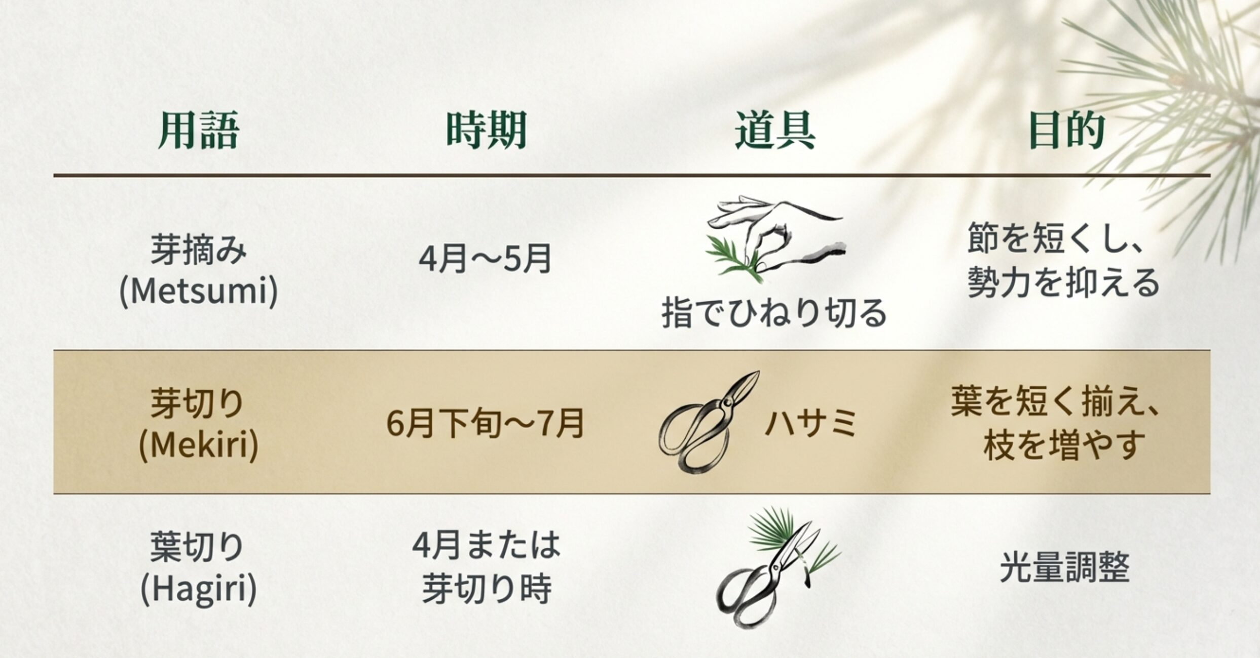 芽摘み(4-5月・指)、芽切り(6-7月・ハサミ)、葉切り(4月頃・ハサミ)の時期、道具、目的をまとめた比較表。