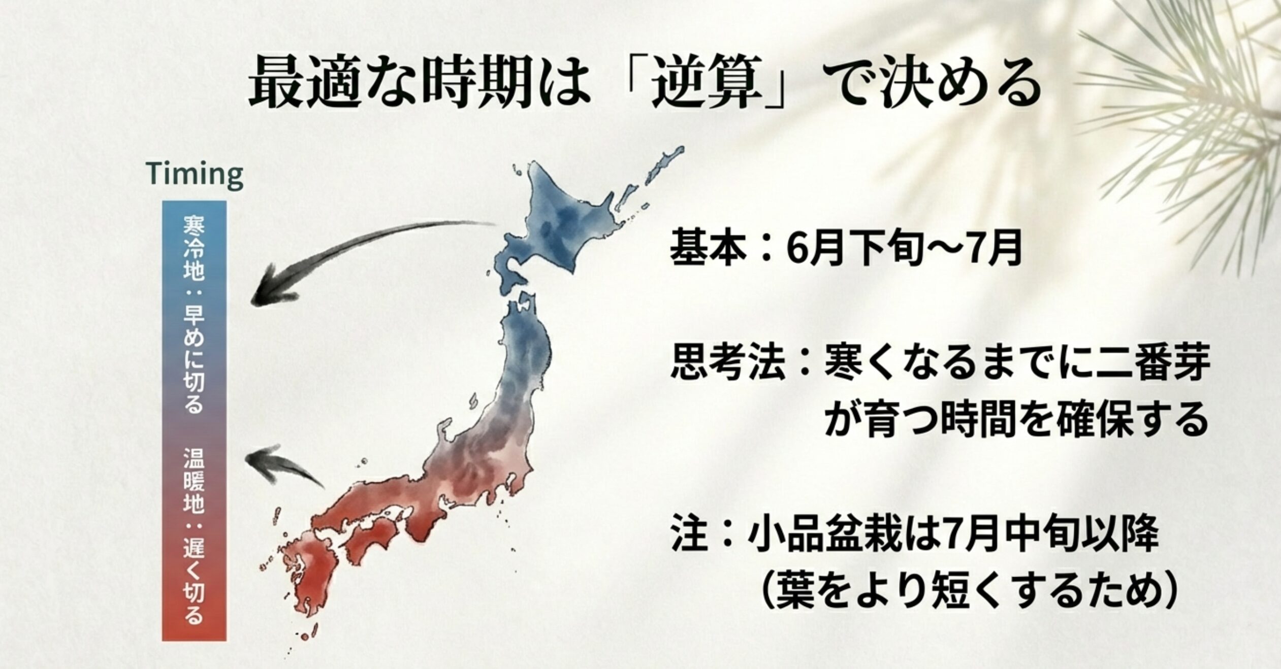 寒冷地は早めに、温暖地は遅めに。寒くなるまでに二番芽が育つ時間を逆算して決める芽切り時期の考え方。