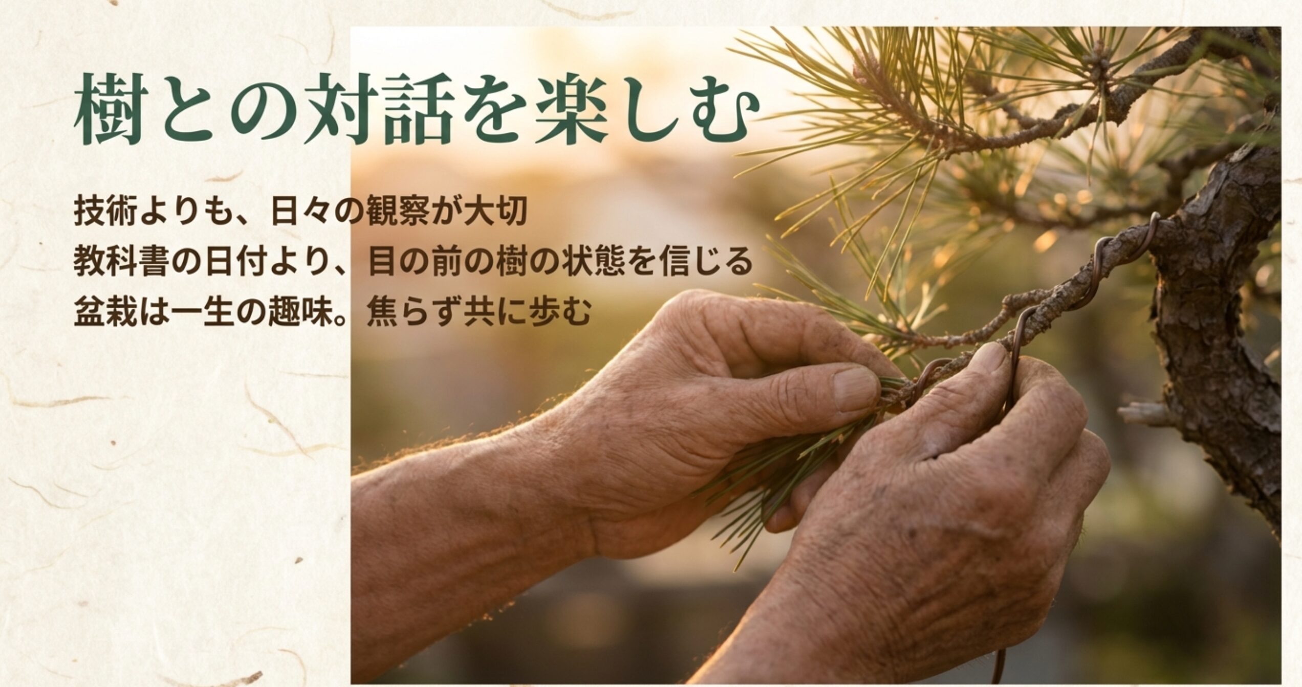 技術よりも日々の観察を。教科書の日付より目の前の樹を信じて歩む、一生の趣味としての盆栽のまとめ。