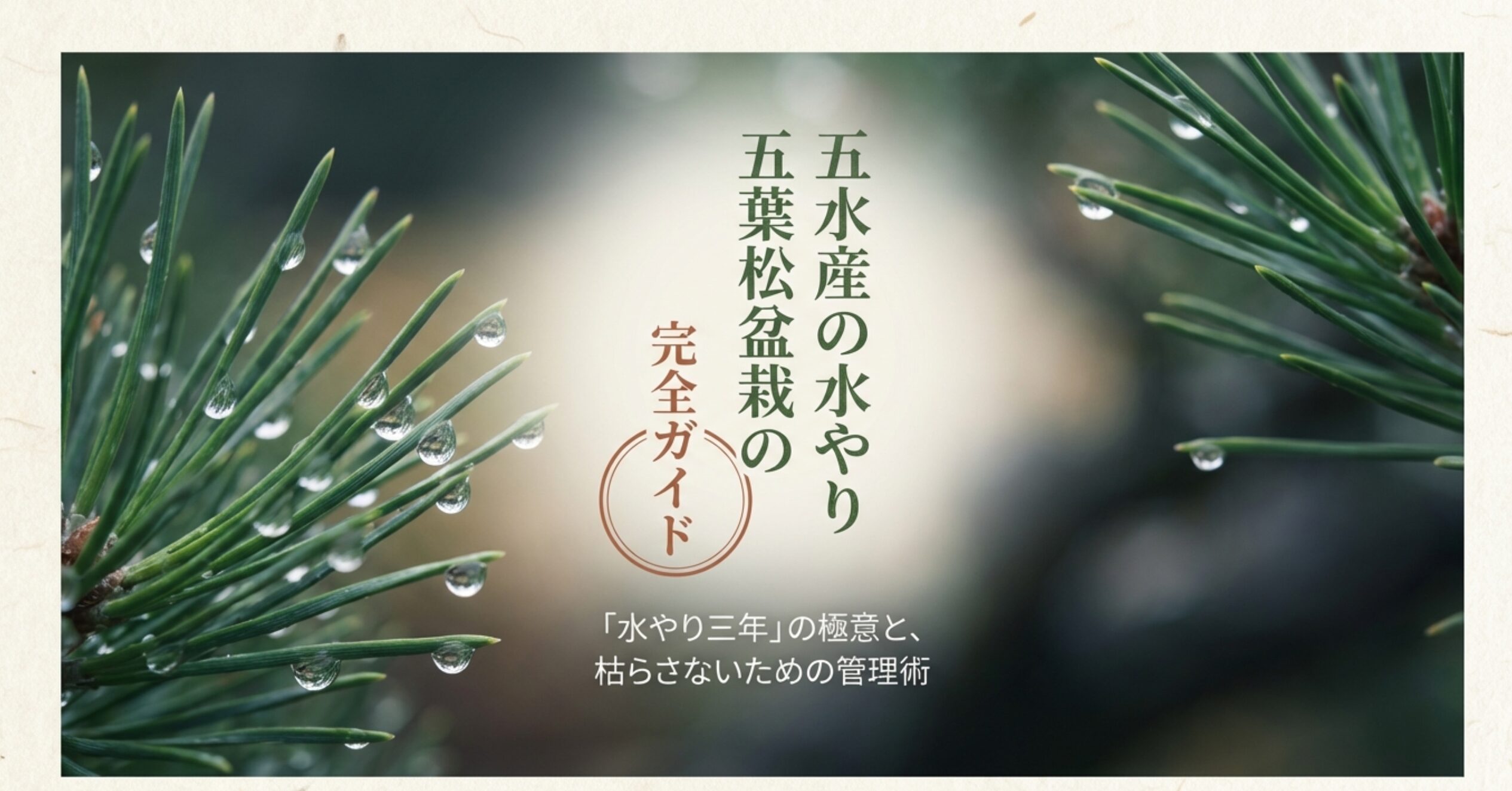 五葉松盆栽の水やり完全ガイドの表紙。和盆日和「S」監修、水やり三年の極意についてのスライド 。