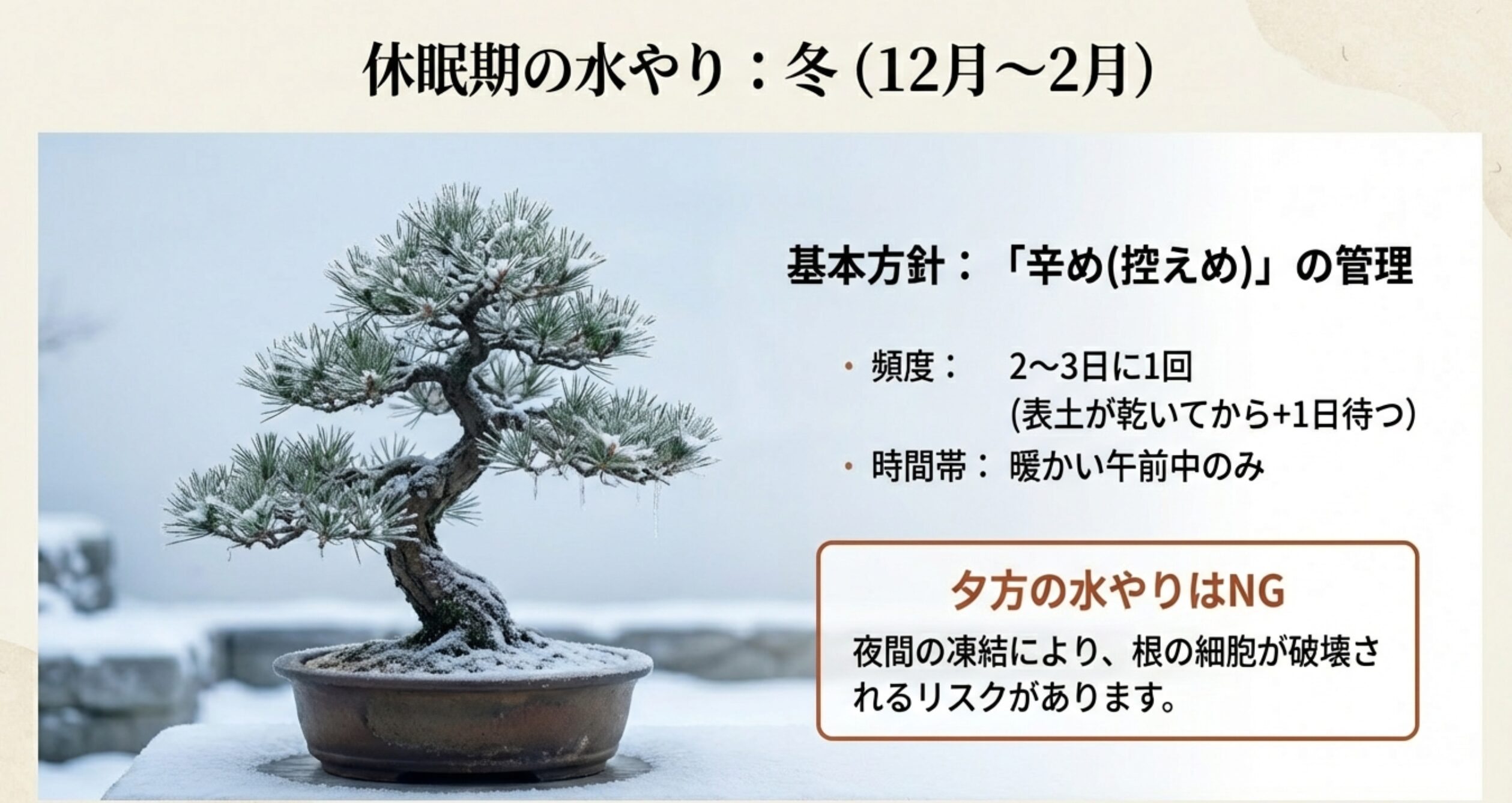 冬は2〜3日に1回、暖かい午前中にのみ水やりを行い、夜間の凍結による根の細胞破壊を防ぐための解説図 。