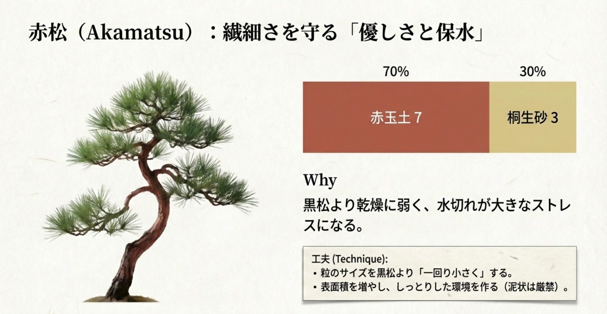 赤松に最適な配合（赤玉7：桐生3）と、水切れを防ぐために粒サイズを小さくする工夫を解説するスライド。