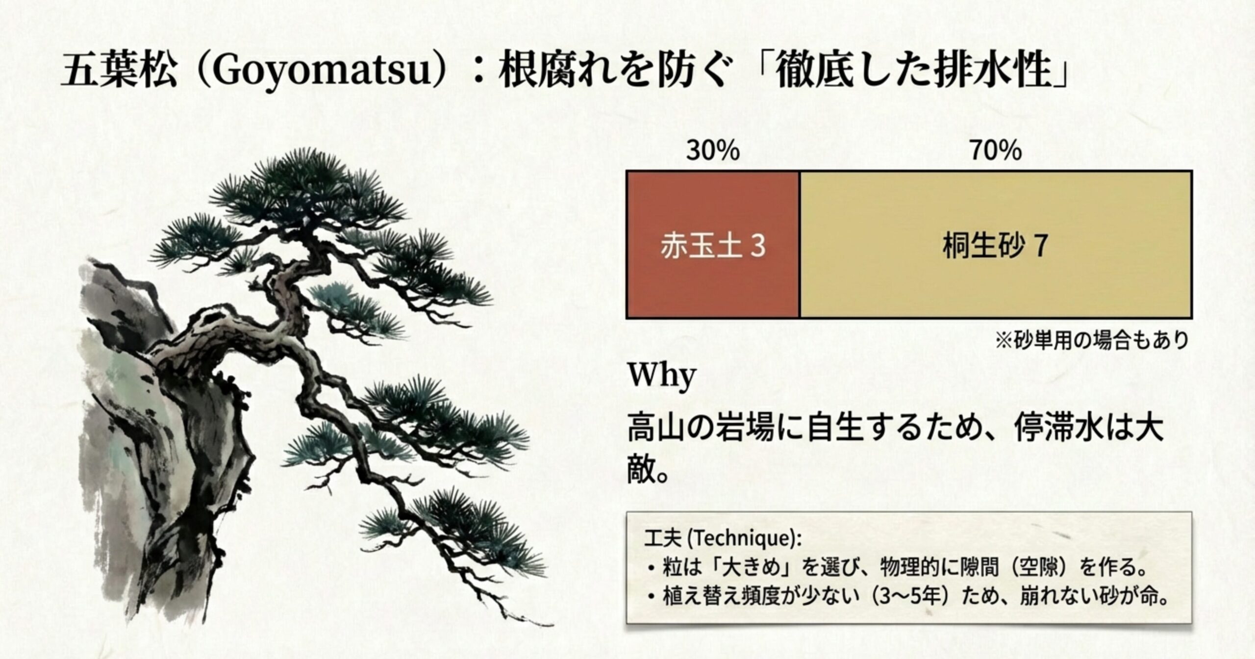 高山自生の五葉松に適した排水重視の配合（桐生7：赤玉3）と、大きな粒度で空隙を作る重要性を説明するスライド。
