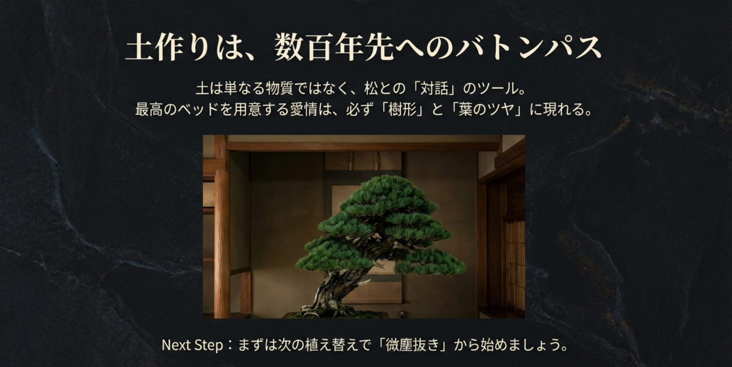 盆栽の土作りは樹との対話であり、次世代へ繋ぐバトンパスであることを伝える、立派な松の盆栽が飾られた和室のイメージ。