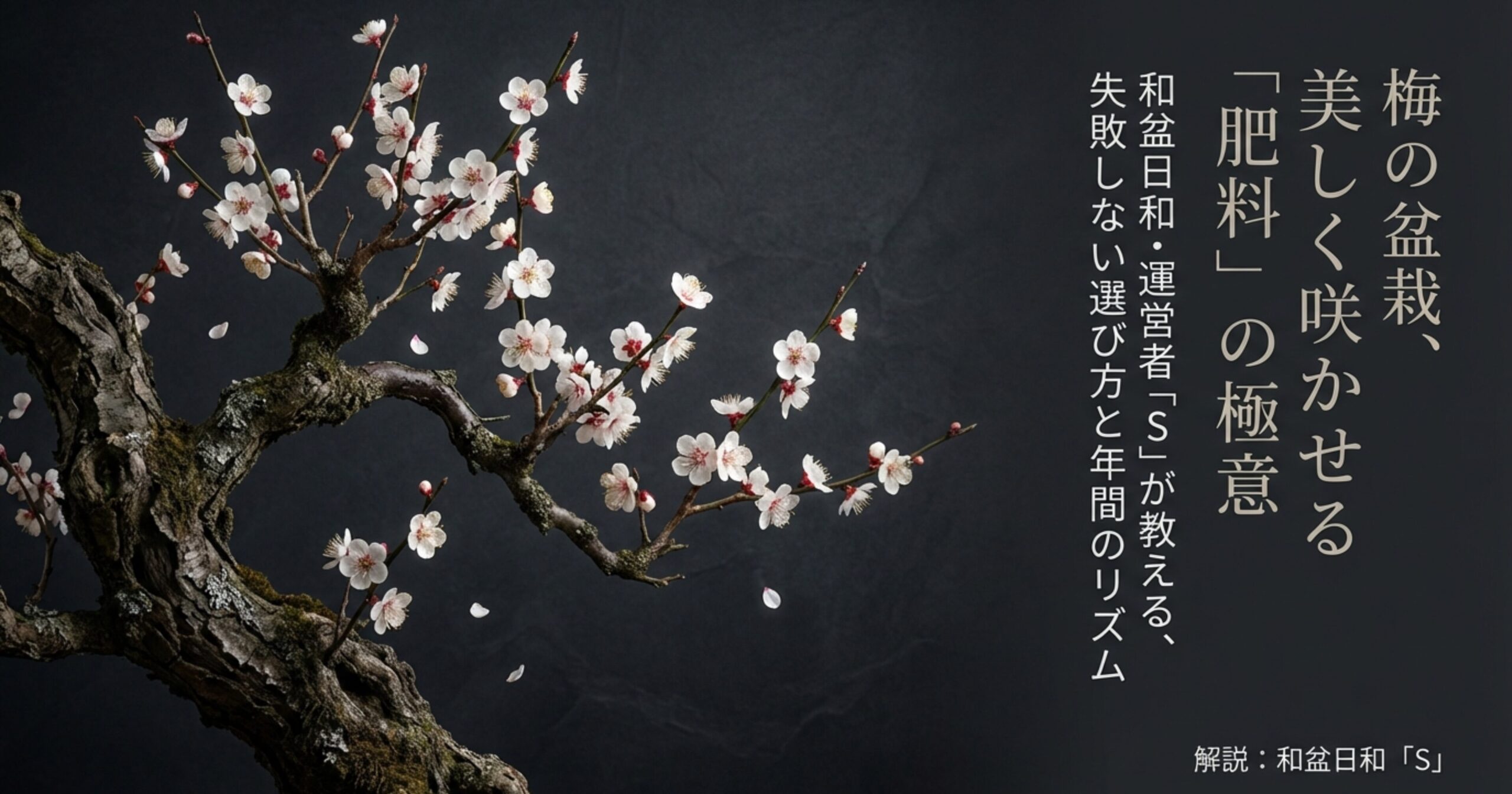 梅の盆栽を美しく咲かせるための肥料の選び方と年間のリズムを解説するタイトルスライド。