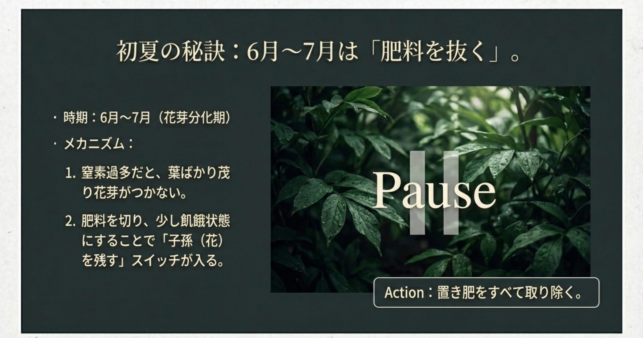 6月〜7月の花芽分化期に肥料を抜き、飢餓状態を作ることで「子孫を残すスイッチ」を入れる方法の解説。