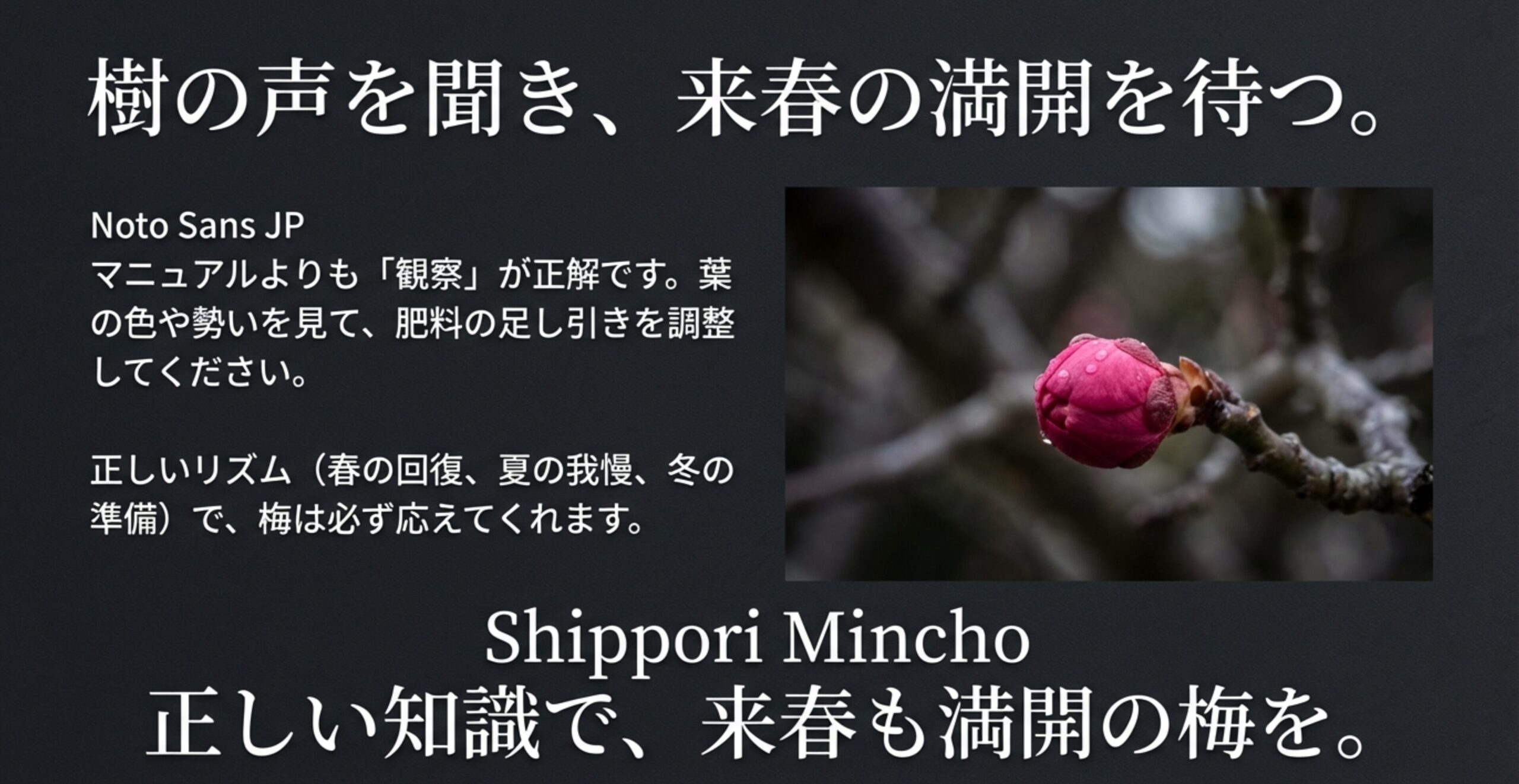 樹を観察し、正しいリズム（春の回復、夏の我慢、冬の準備）で管理することの重要性を伝えるメッセージ。