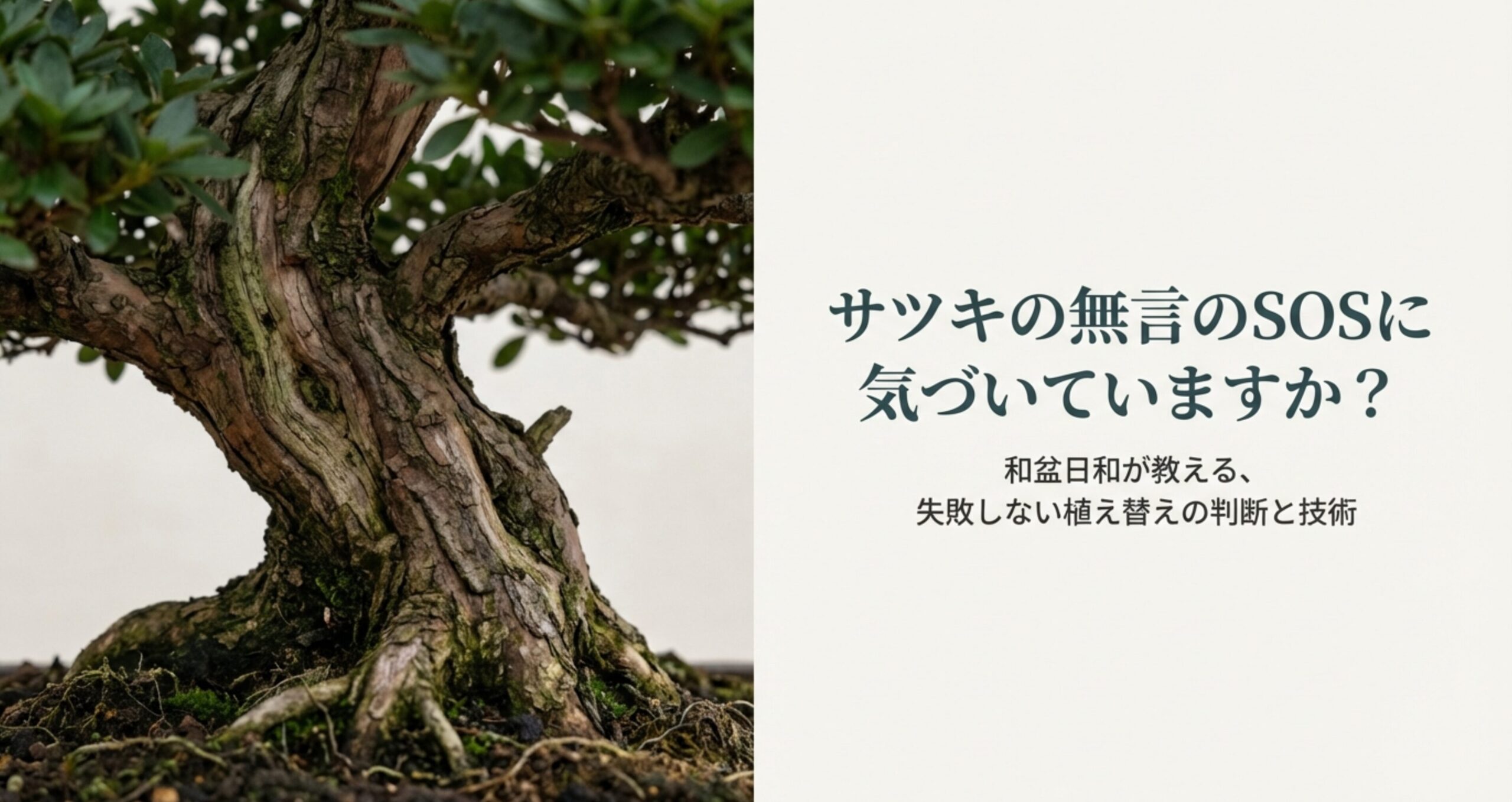「サツキの無言のSOSに気づいていますか？」というキャッチコピーと、立派なサツキ盆栽の根元の写真。和盆日和による失敗しない植え替えガイドの表紙。