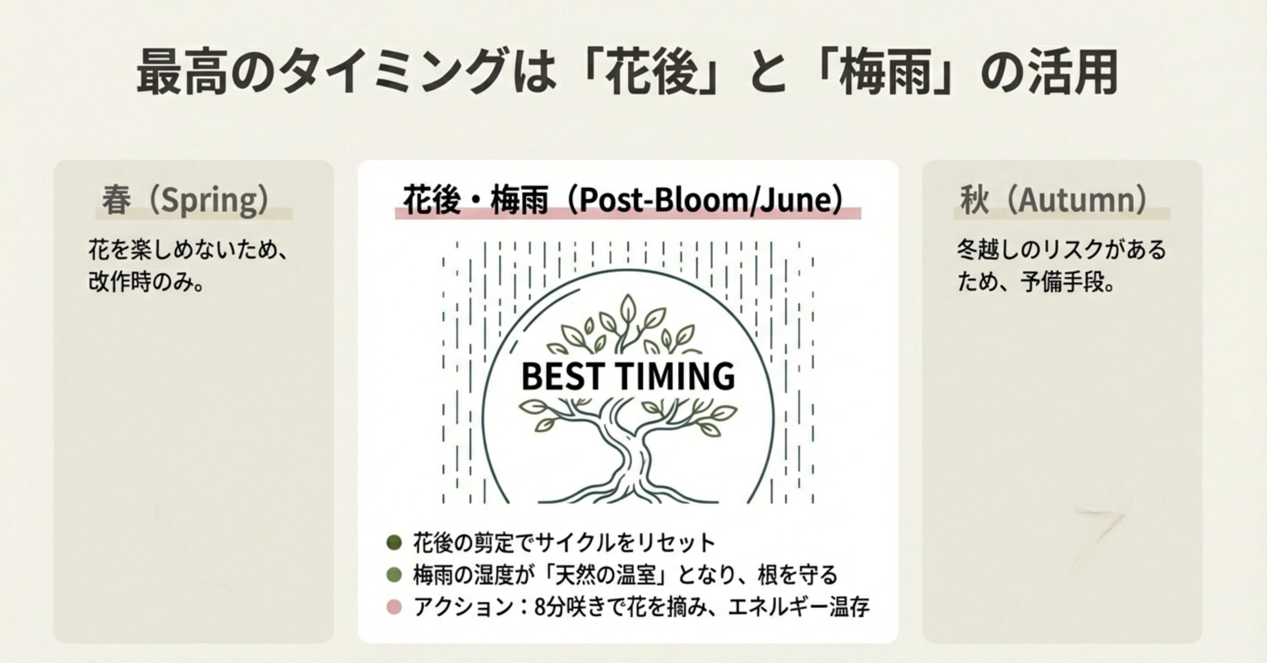 サツキの植え替え時期の比較。春は改作時のみ、秋は予備手段とし、花後・梅雨時期が「BEST TIMING」であることを示す図解。