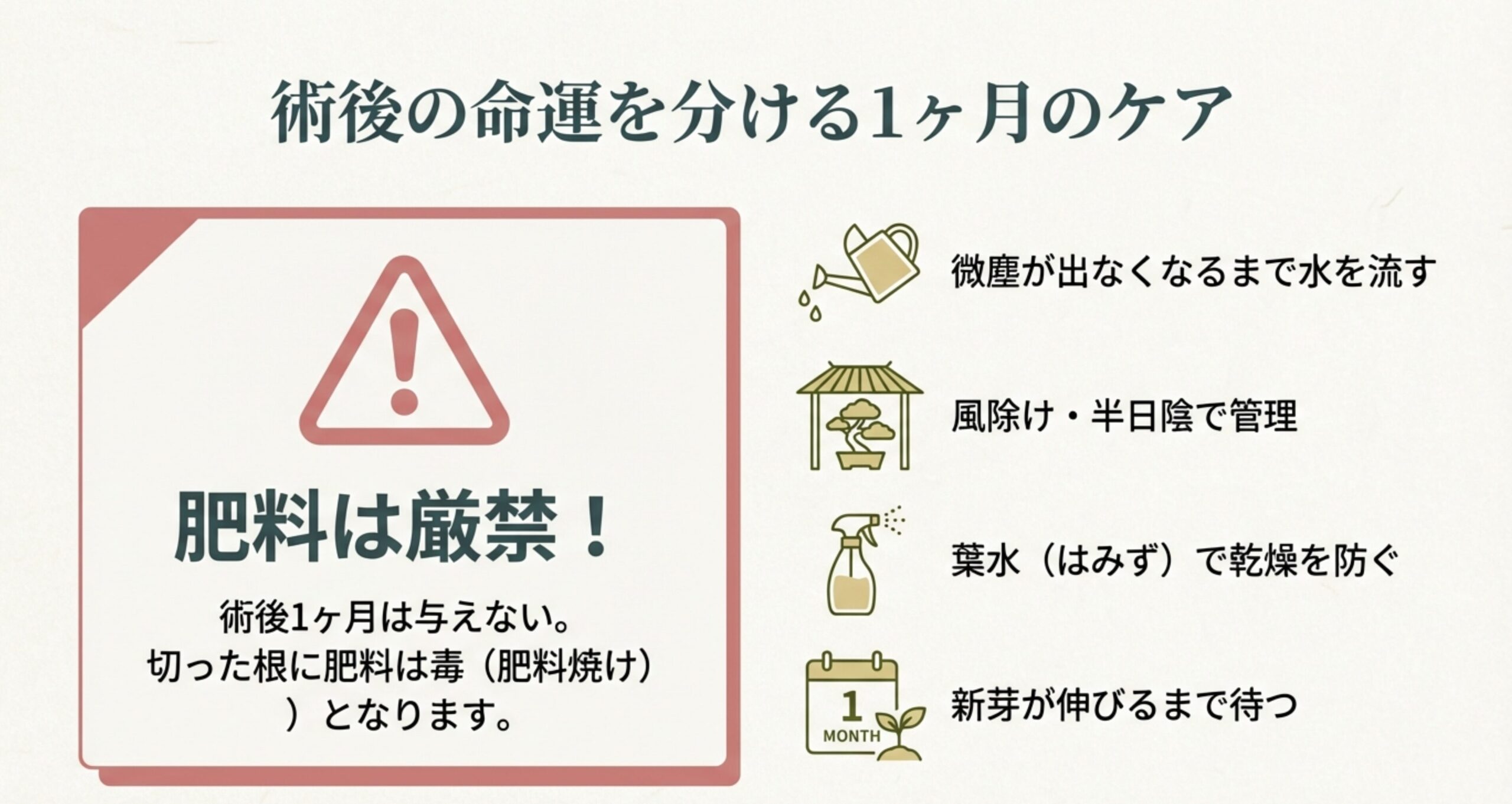 「肥料は厳禁！」という強い警告と、微塵がなくなるまでの水やり、半日陰での管理、葉水による乾燥防止をまとめた図。
