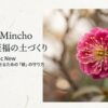 美しい紅梅の花と「梅盆栽、至福の土づくり」というタイトルが書かれたスライド画像。