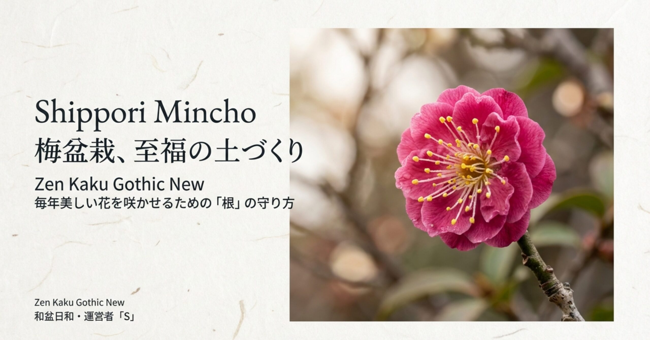 美しい紅梅の花と「梅盆栽、至福の土づくり」というタイトルが書かれたスライド画像。