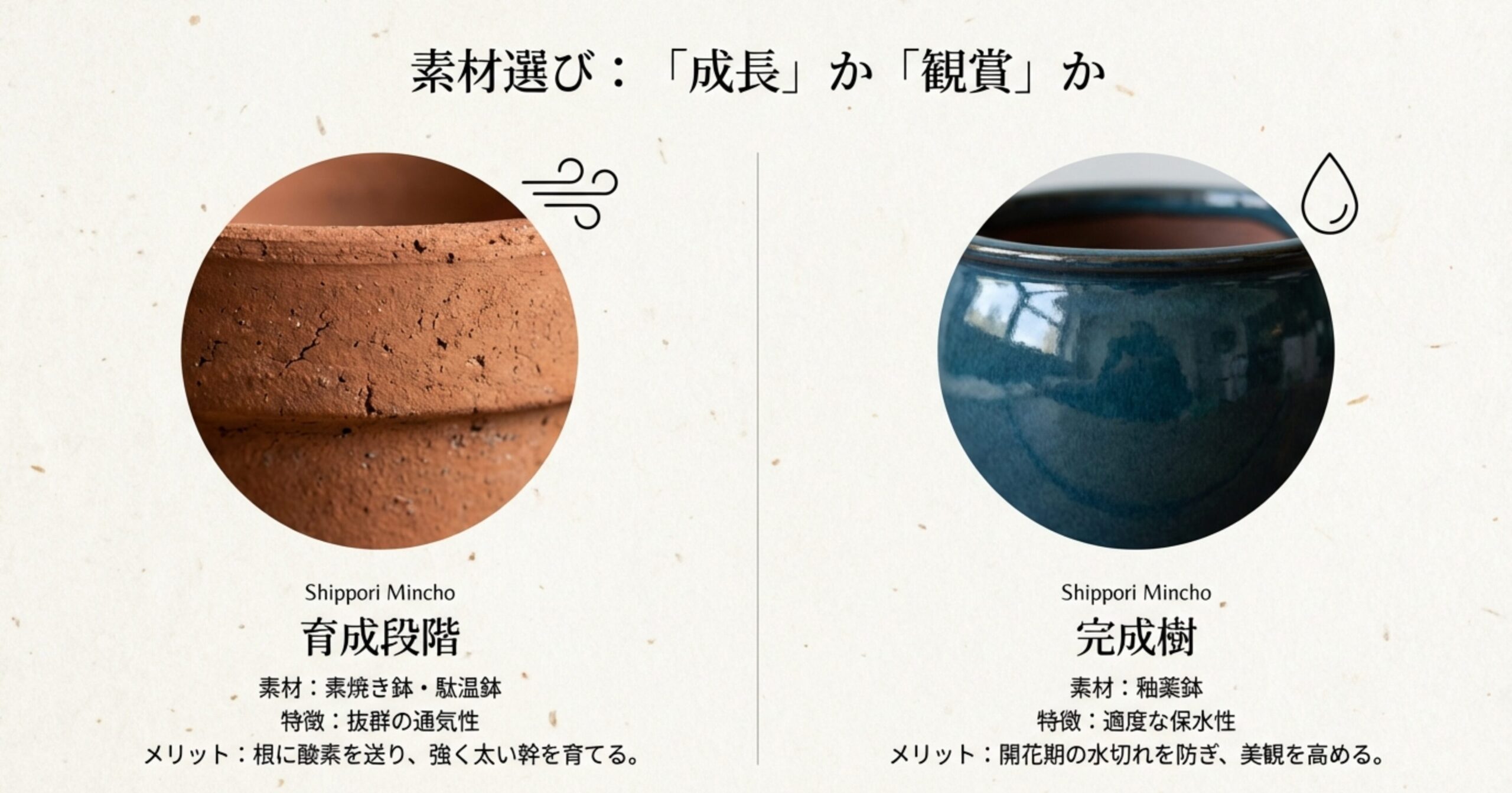 育成段階には通気性の良い素焼き鉢・駄温鉢が、完成樹には保水性と美観を両立する釉薬鉢が適していることを示す比較画像。