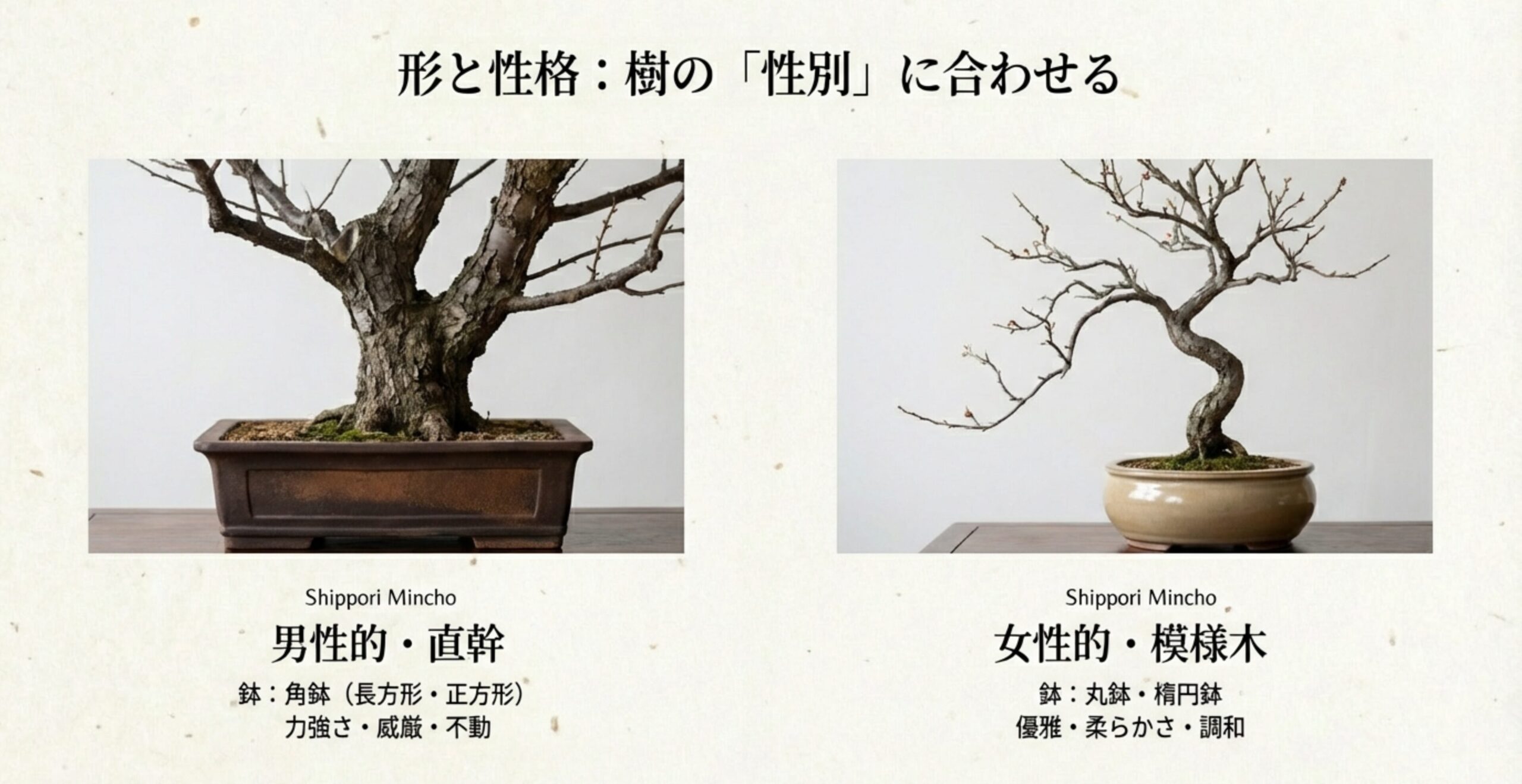 男性的な直幹には力強い「角鉢（長方形・正方形）」を、女性的な模様木には優雅な「丸鉢・楕円鉢」を合わせる、樹形と鉢の相性を示す比較画像。