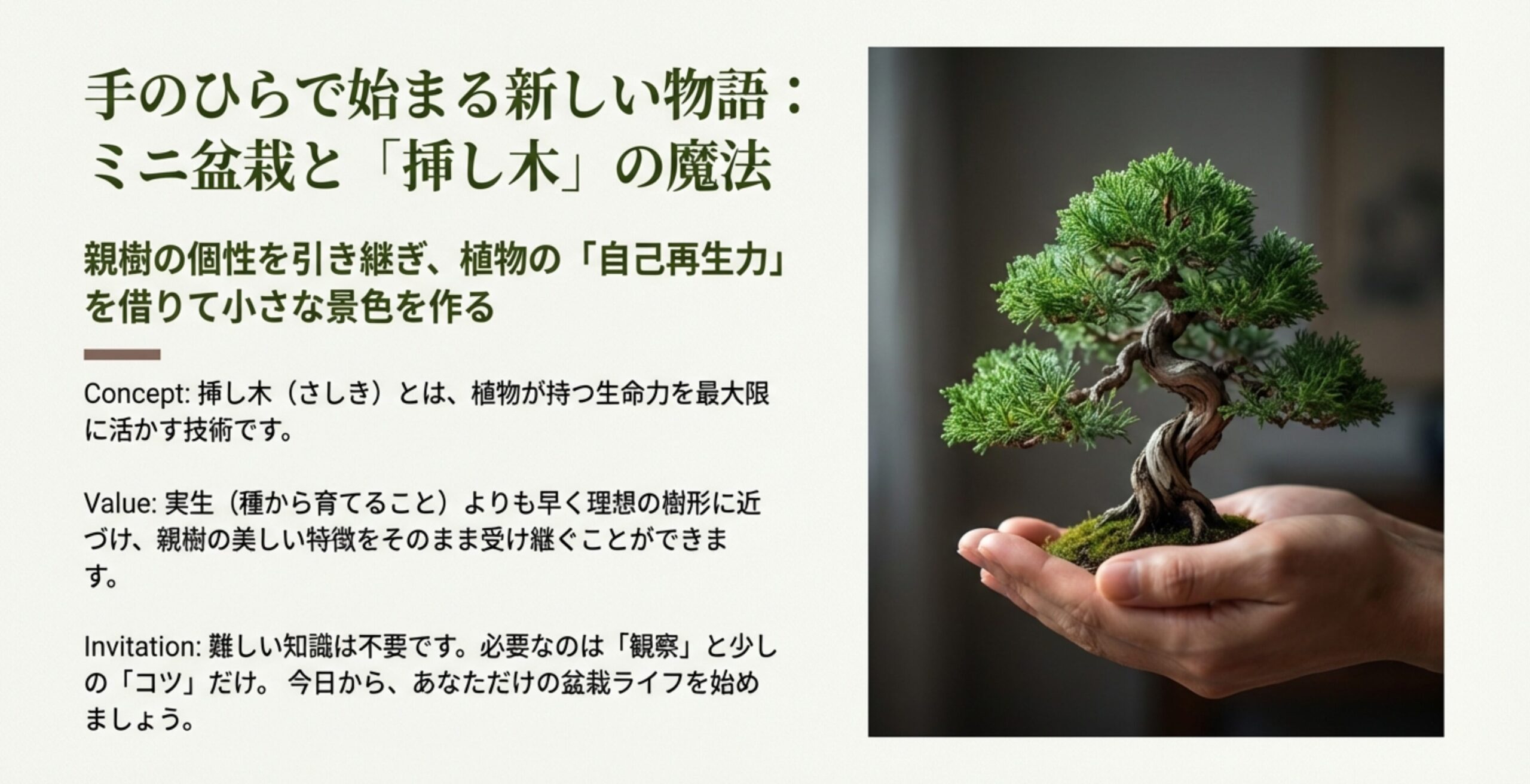 両手で優しく包み込まれた、美しく仕立てられたミニ盆栽（真柏）のイメージ画像。