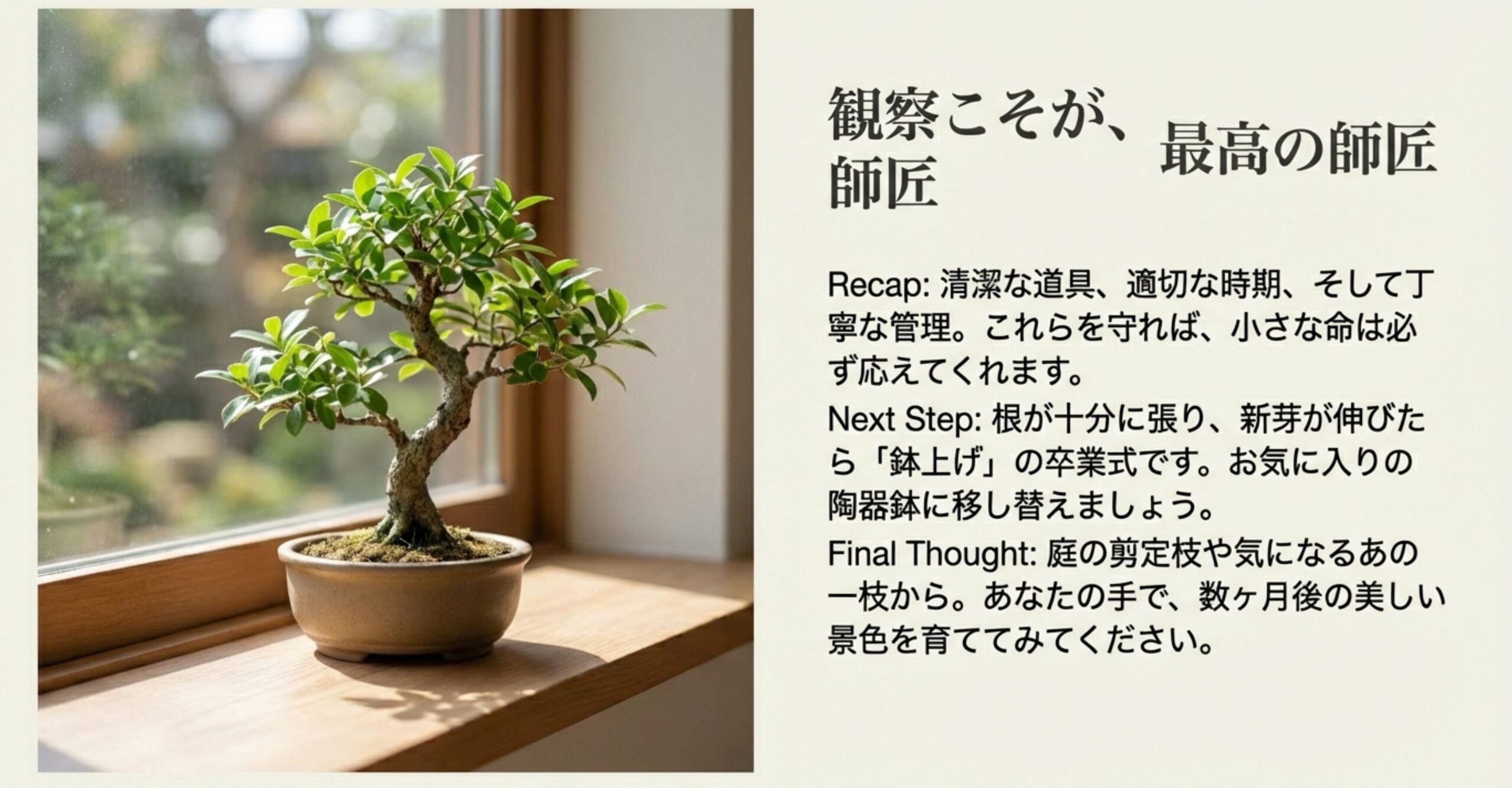 窓際に置かれた完成度の高いミニ盆栽と、丁寧な観察と管理を続けることの大切さを伝えるメッセージ。