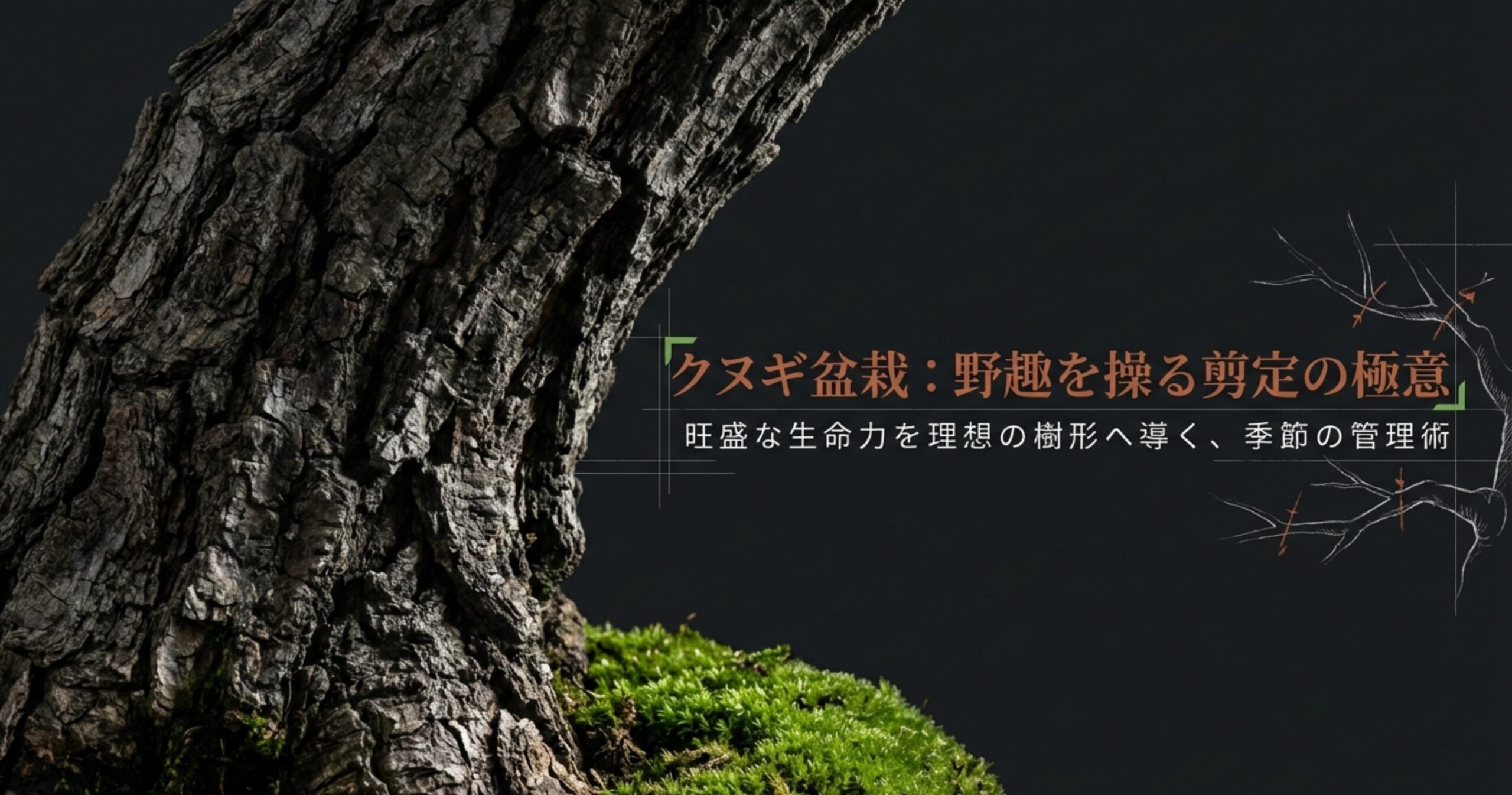 クヌギ盆栽の剪定と季節ごとの管理術を解説するスライドの表紙画像。