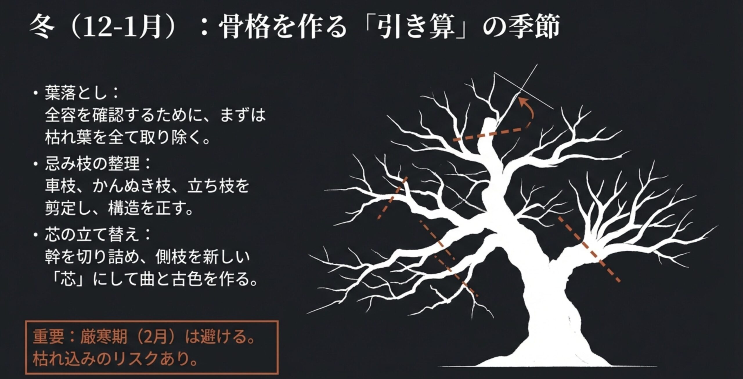 クヌギの冬の剪定方法（葉落とし、忌み枝の整理、芯の立て替え）と、ハサミを入れるべきカットラインを示したシルエット図。