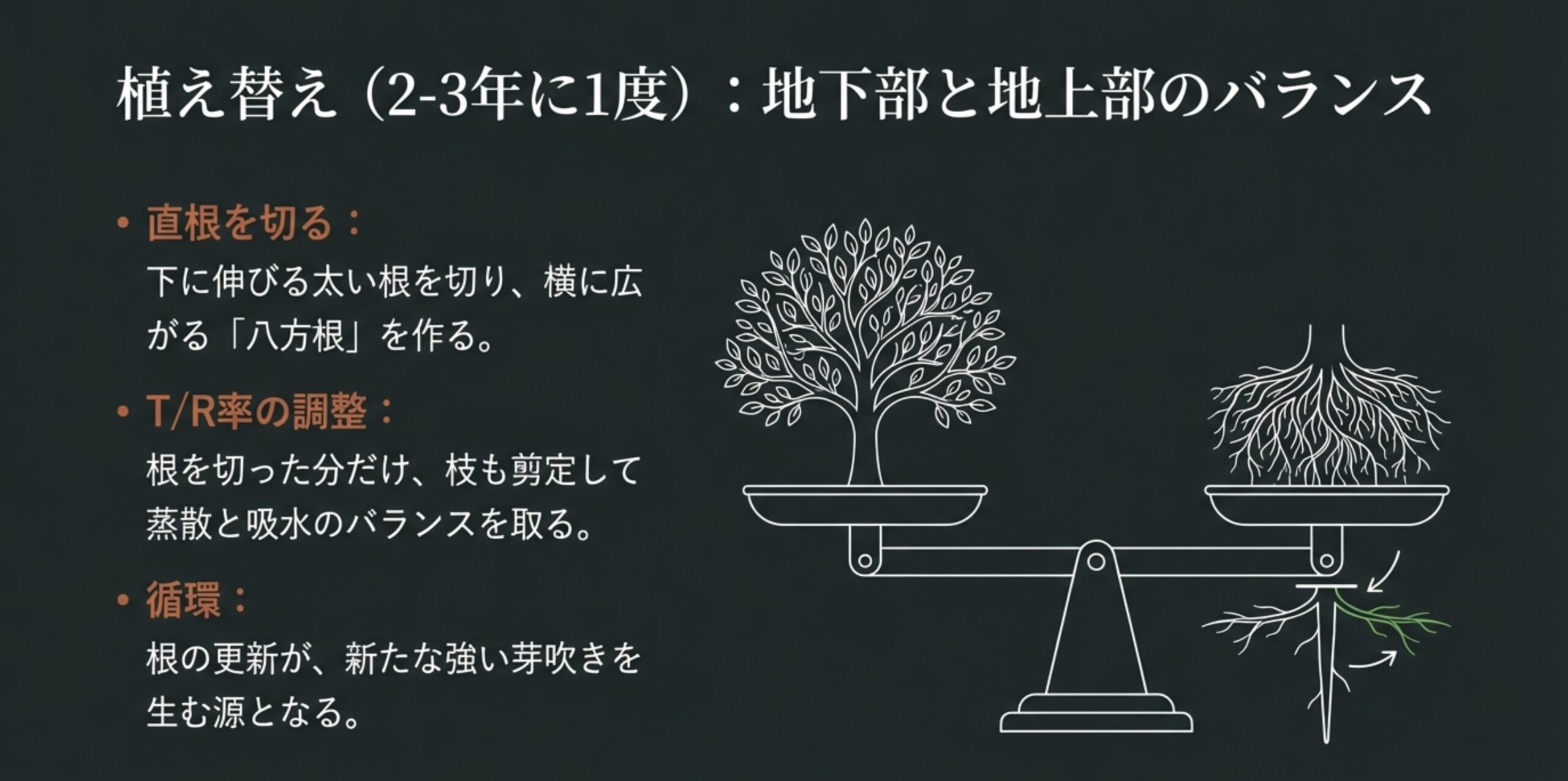 天秤のイラストを用いて、根の整理（地下部）と枝の剪定（地上部）のバランスを取る $T/R$ 率の概念を説明した図。