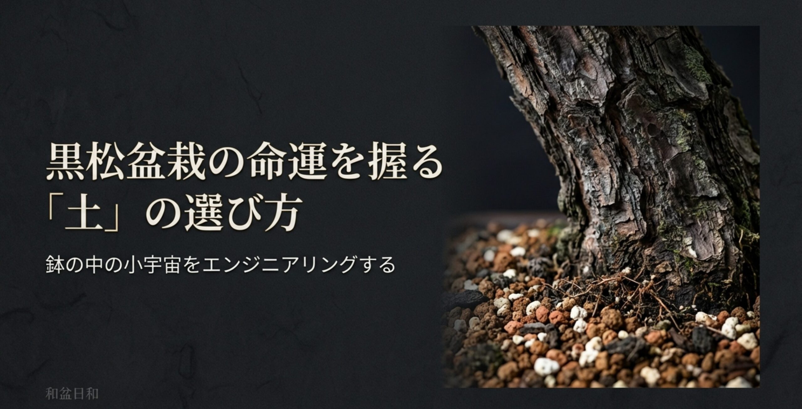 黒松盆栽の荒々しい幹のアップと、鉢に敷き詰められた用土。タイトル「黒松盆栽の命運を握る『土』の選び方」の文字。