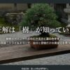 もみじ盆栽の植え替えを「樹の声を聴き、正しい時期に行う再生の手順」と紹介するスライドの表紙画像。