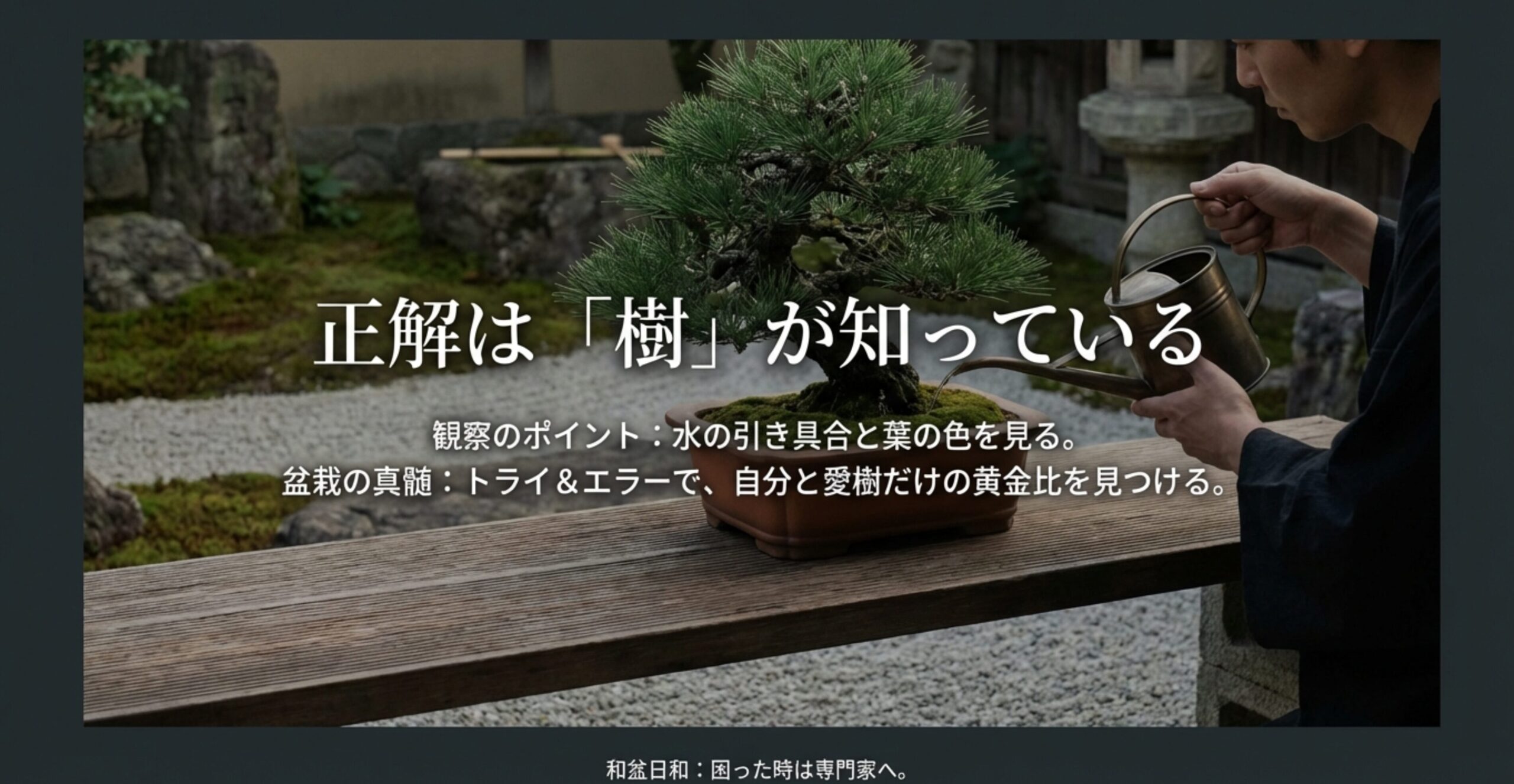 もみじ盆栽の植え替えを「樹の声を聴き、正しい時期に行う再生の手順」と紹介するスライドの表紙画像。