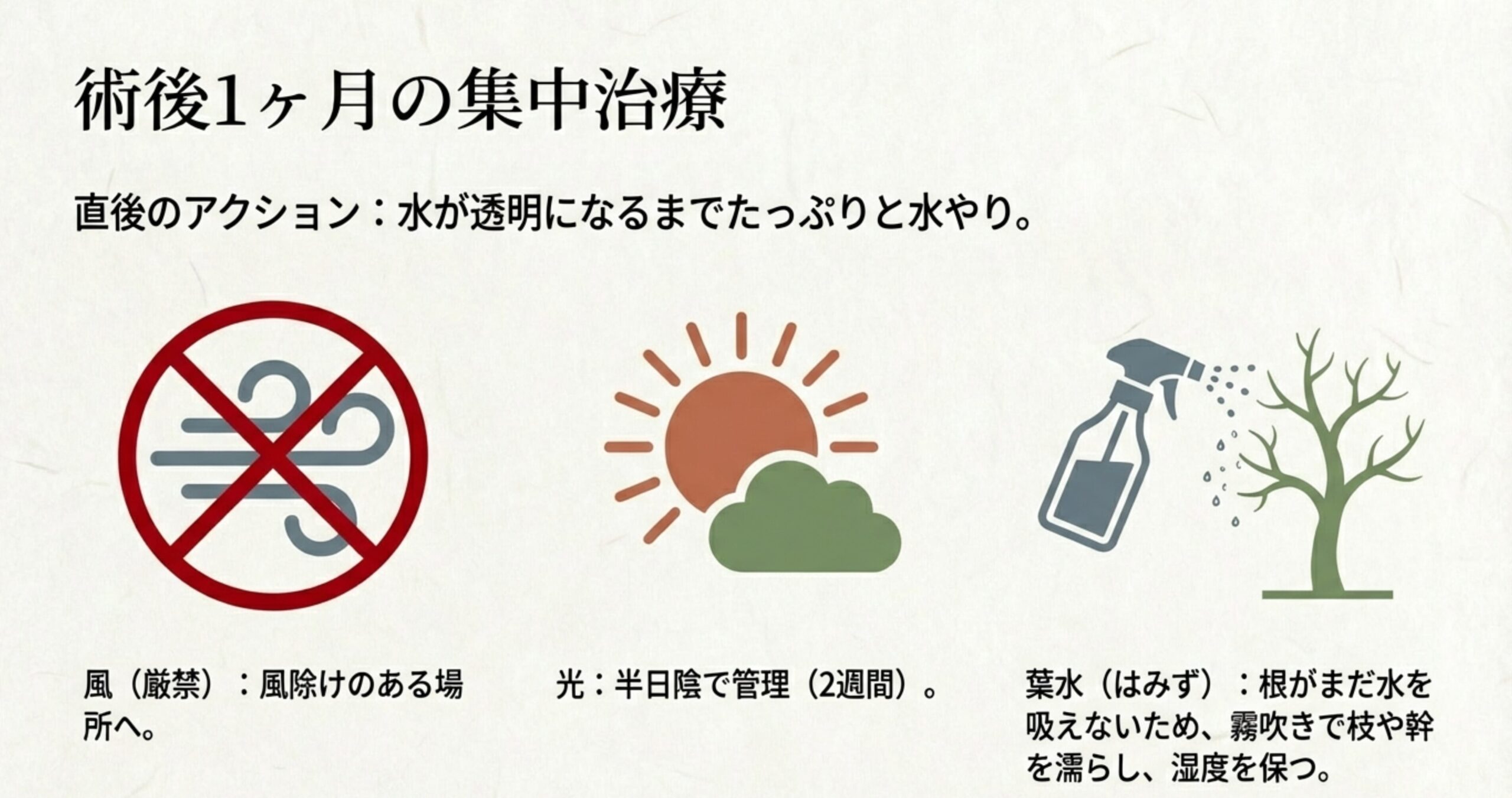 たっぷりの水やり、風除けのある半日陰での管理、根が水を吸えない時期に霧吹きで湿度を保つ「葉水」のアクションを示すアイコンスライド。