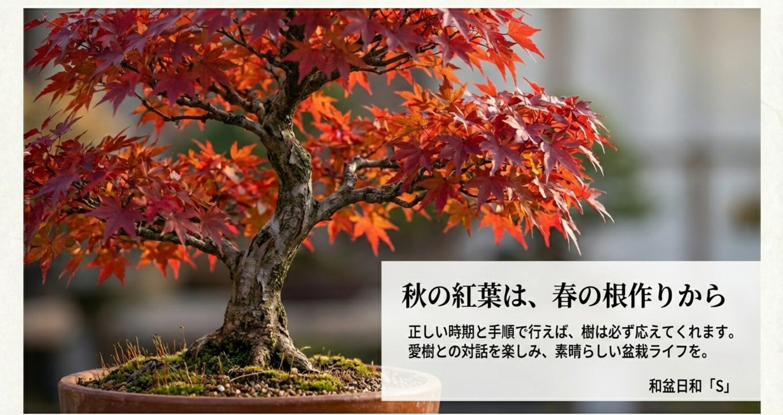 「秋の紅葉は、春の根作りから」というメッセージとともに、愛樹との対話を楽しむことを推奨する結びのスライド。