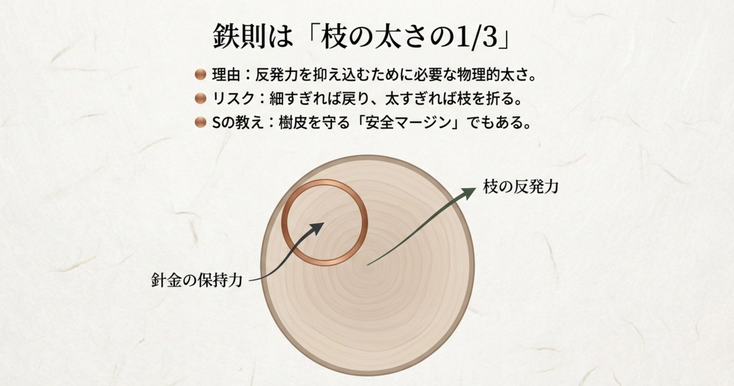 針金の太さを選ぶ基準を図解。枝の反発力を抑え込むために必要な物理的太さと、樹皮を守る安全マージンとして枝の1/3の太さが推奨される理由。