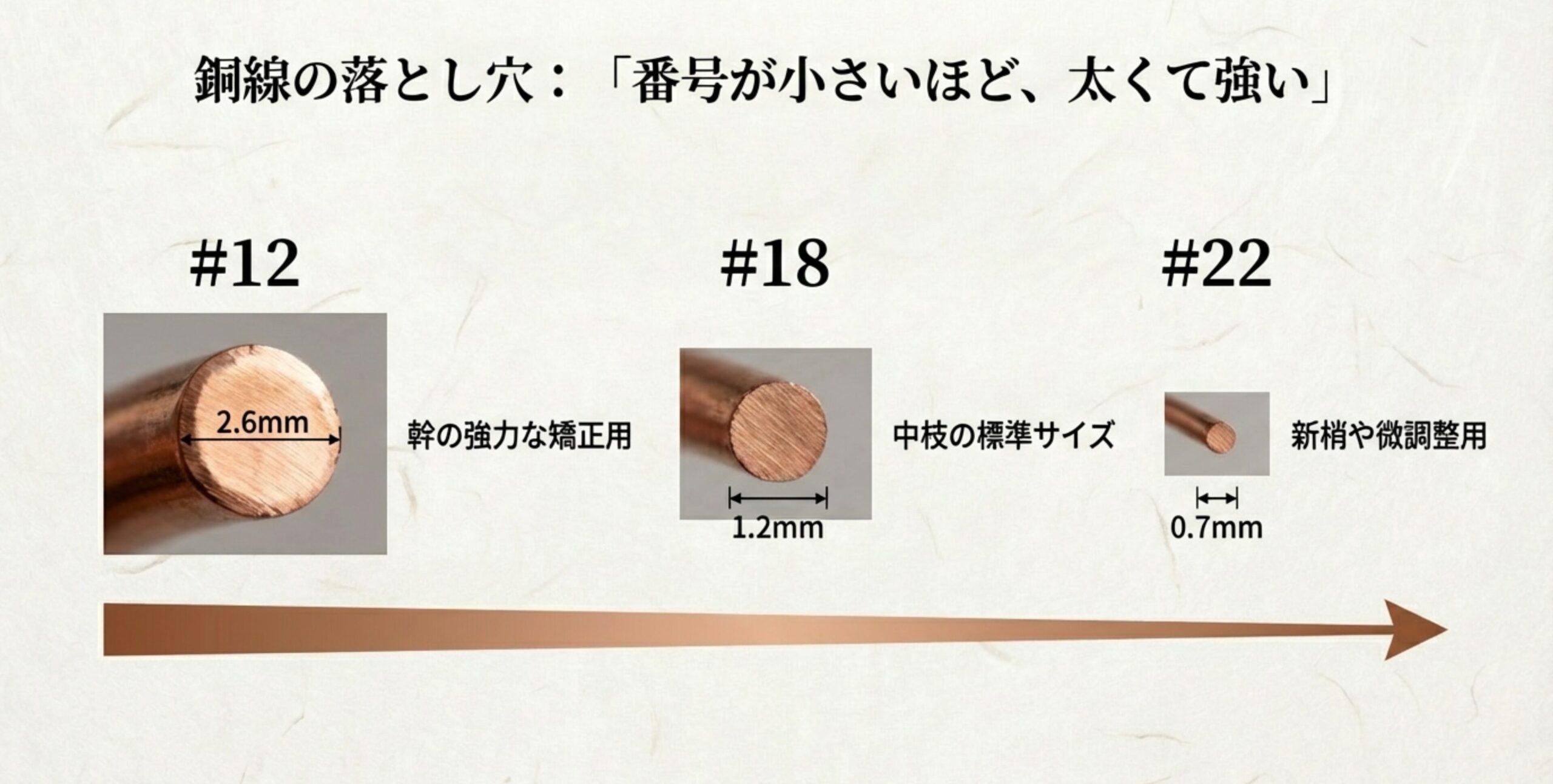 銅線の断面図と太さの比較。#12(2.6mm)から#22(0.7mm)までの番手ごとの太さと、幹の矯正や小枝の整枝などそれぞれの主な用途。