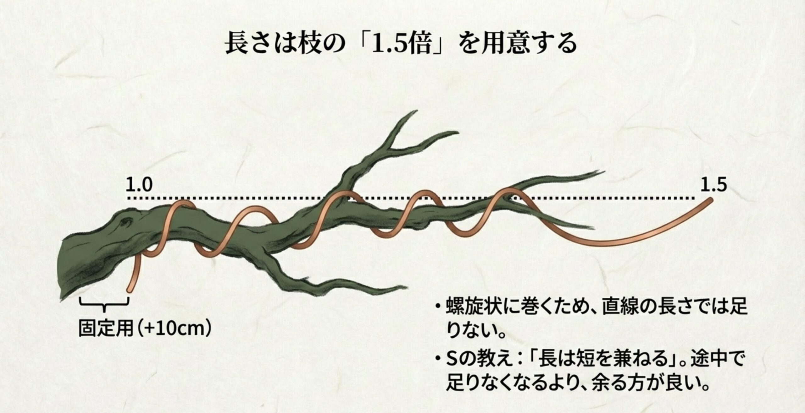 枝に対して必要な針金の長さを計算する図解。螺旋状に巻くため直線の長さでは足りず、枝の長さの1.5倍+固定用が必要であることを解説。
