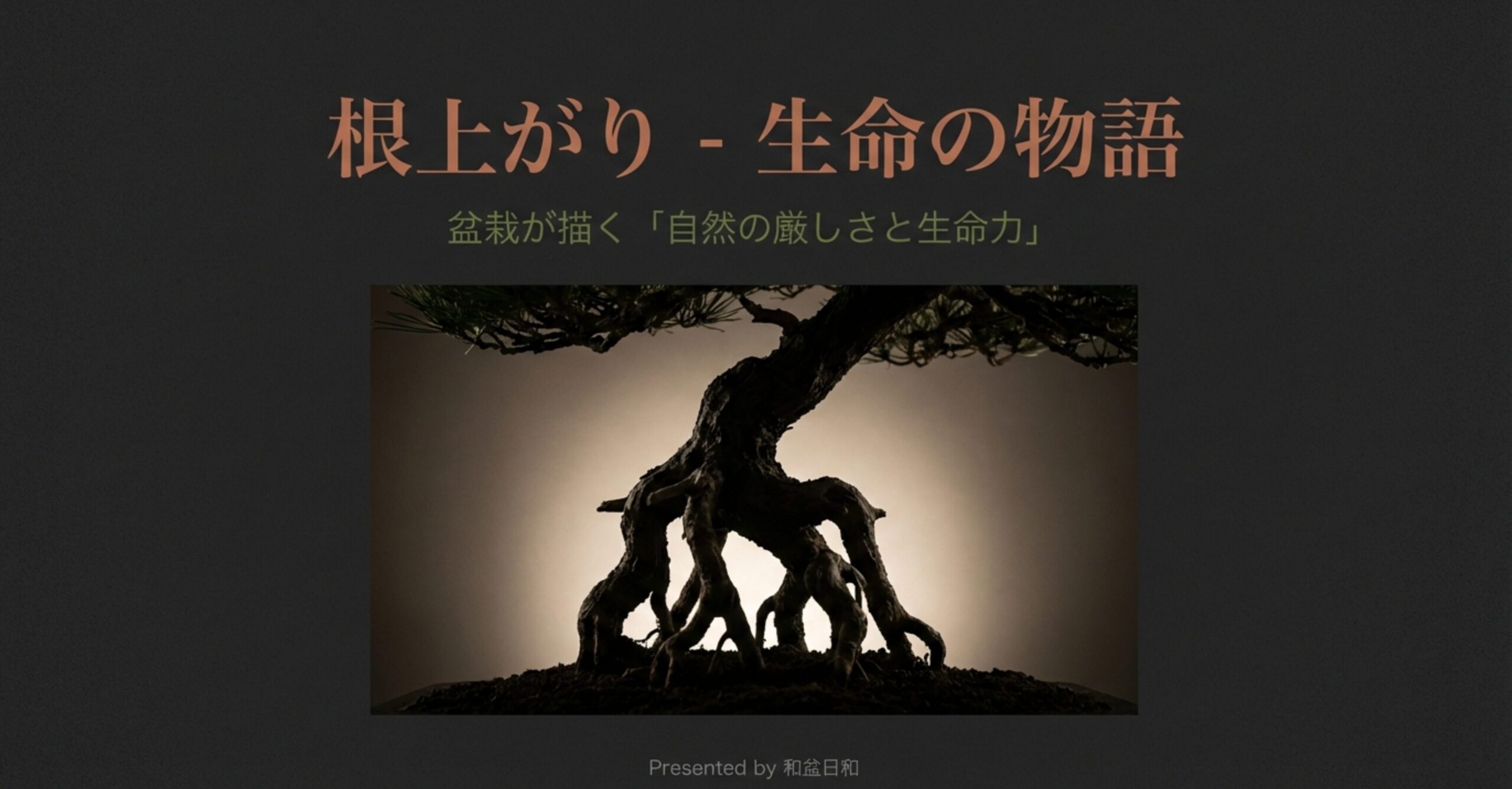 逆光に浮かび上がる盆栽の根上がり。太い根が複雑に絡み合い、生命力を象徴するシルエット。