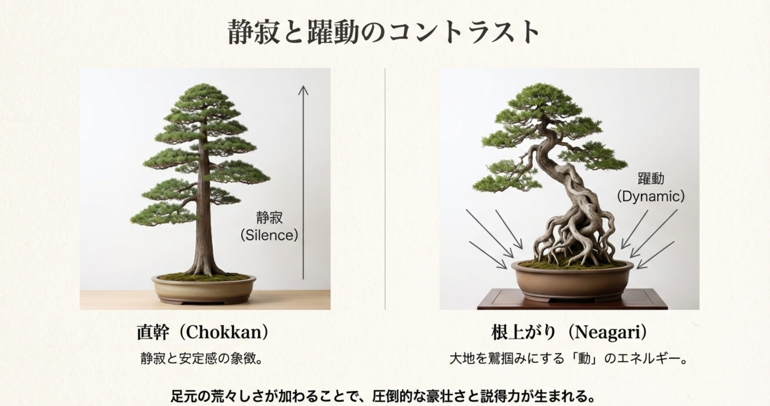 盆栽の樹形比較。静寂を表す直幹の松と、躍動感を表す根上がりの松の対比。大地を掴む根のエネルギーの視覚化。