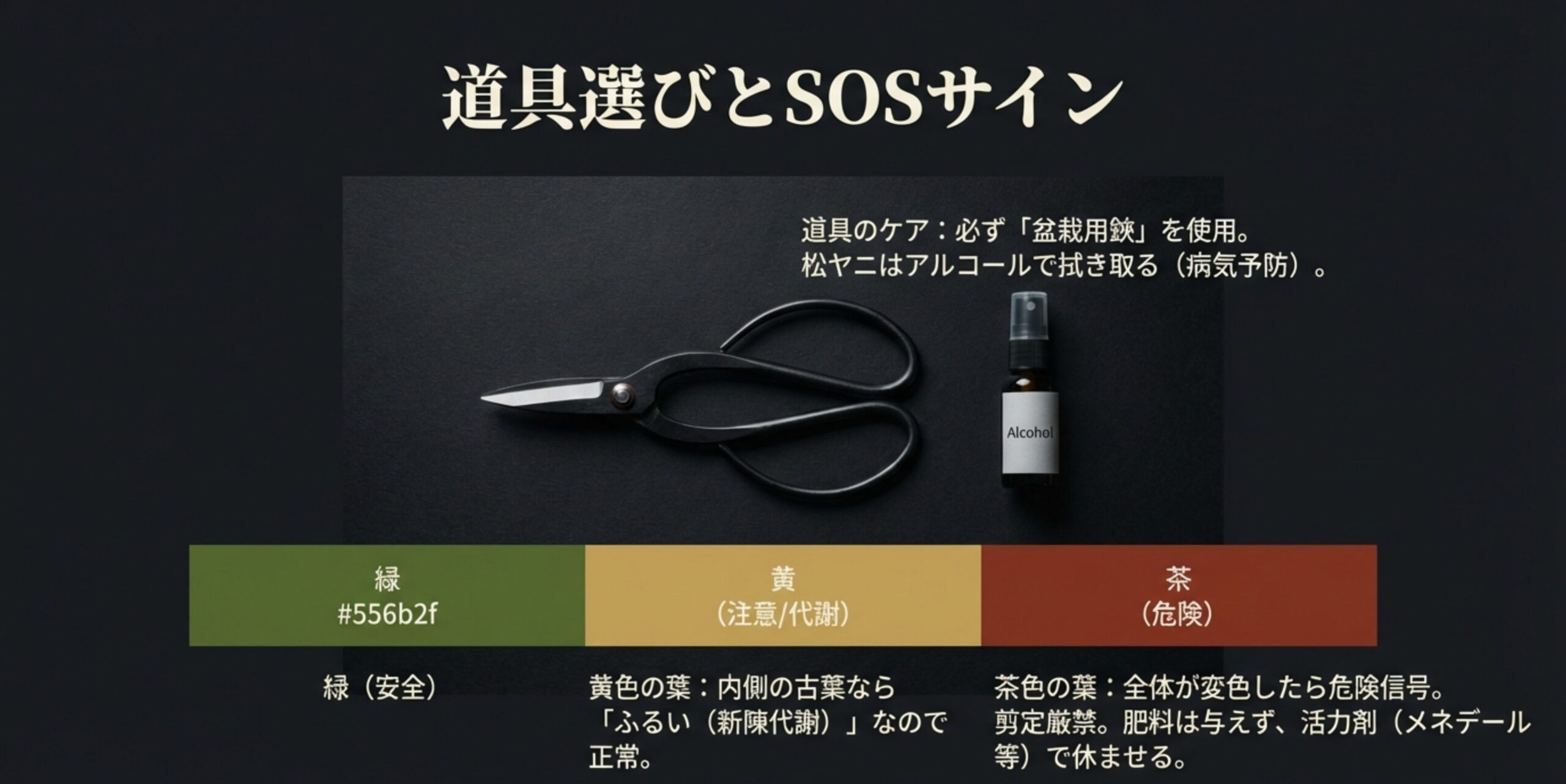 松の葉の色による健康診断チャート。緑は安全、黄色は注意、茶色は危険信号を示す色見本。
