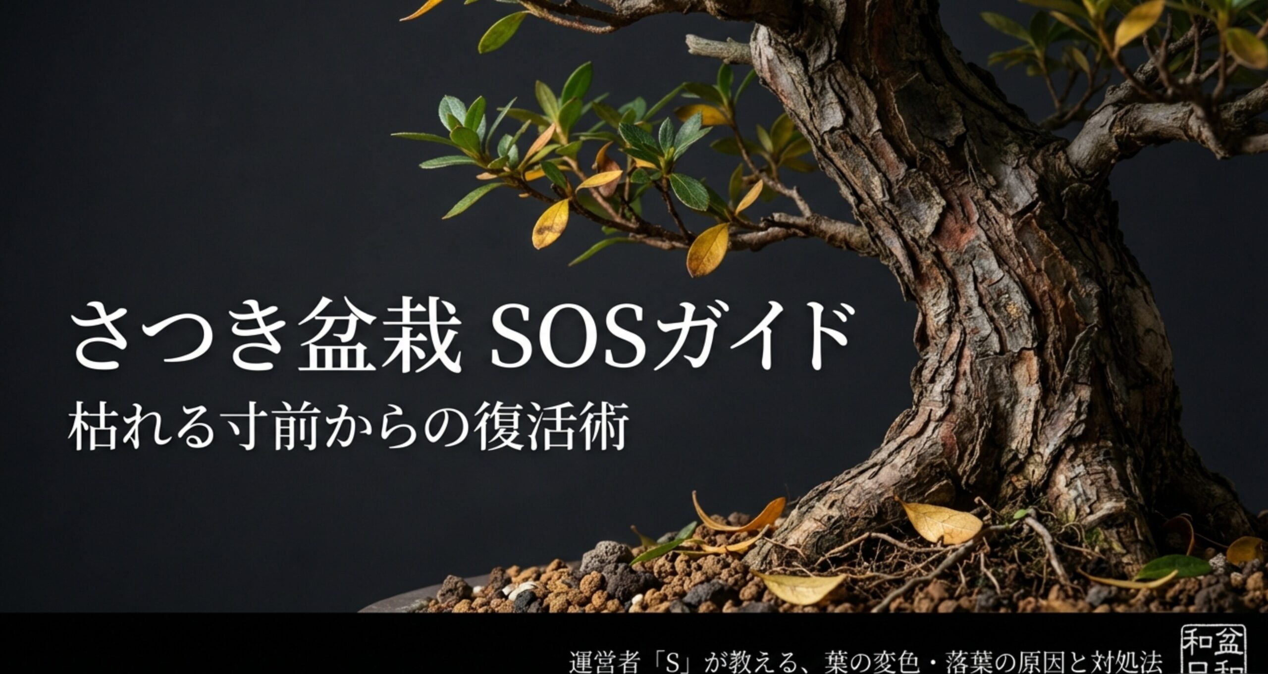 枯れる寸前からの復活術を解説したさつき盆栽SOSガイドの表紙スライド