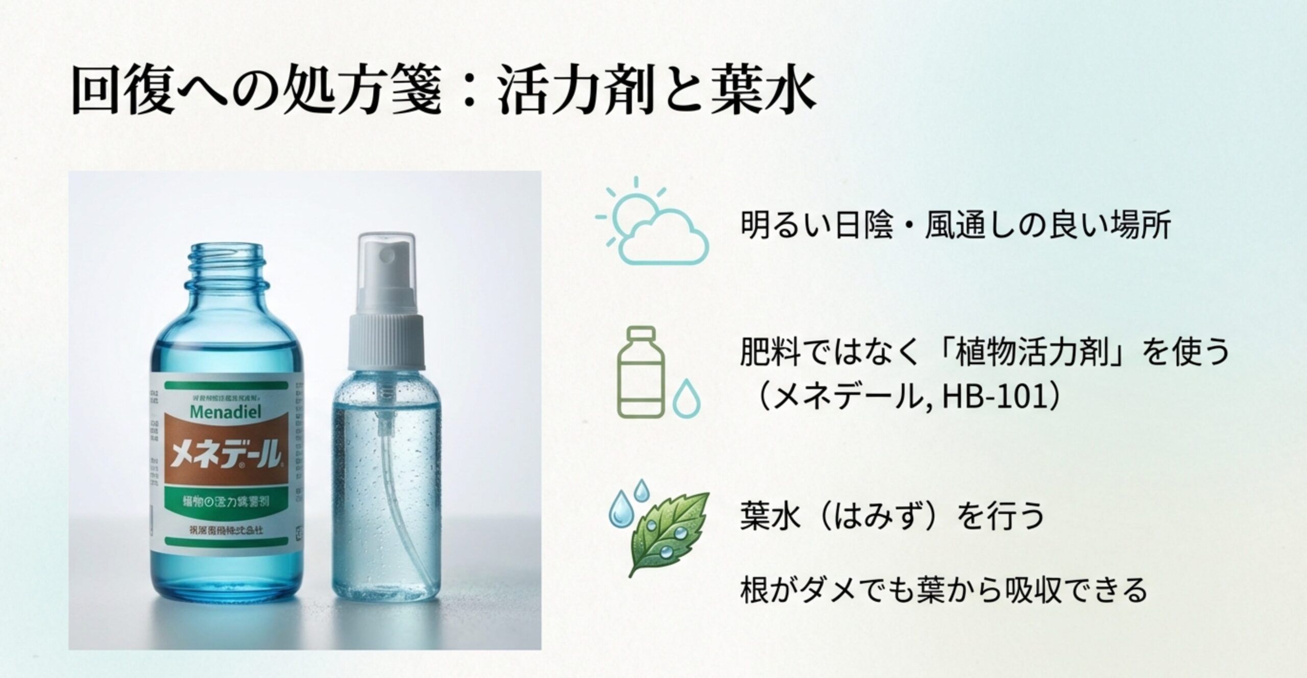 肥料ではなくメネデールなどの植物活力剤の使用と葉水の効果を示したスライド