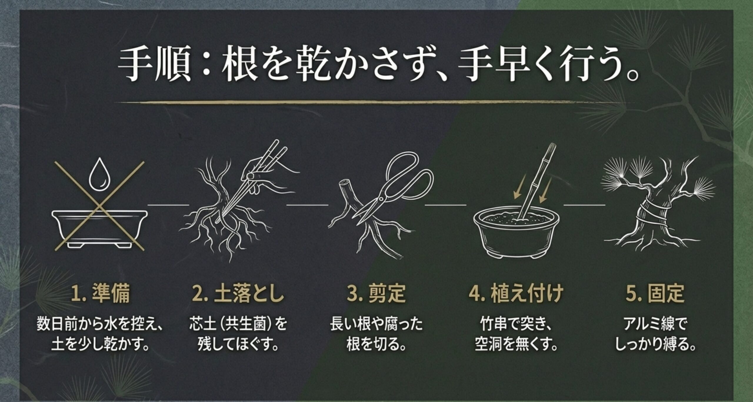 準備、土落とし、剪定、植え付け、アルミ線での固定という、根を乾かさず手早く行う植え替えの5つの手順をまとめたスライド