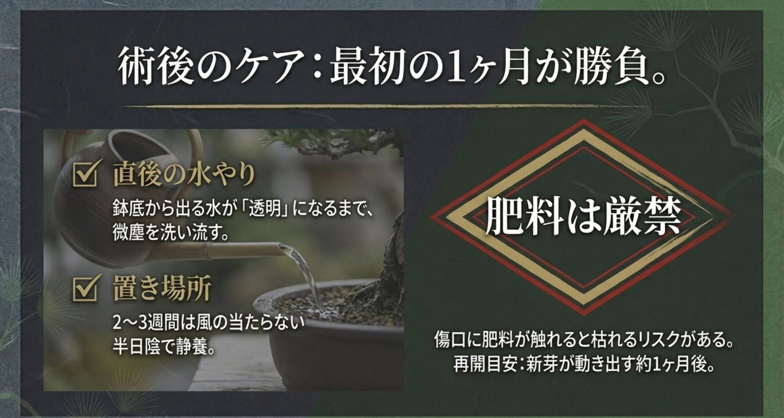 植え替え後1ヶ月のケアとして、透明な水が出るまでの水やり、半日陰での静養、肥料厳禁の注意点についてまとめたスライド