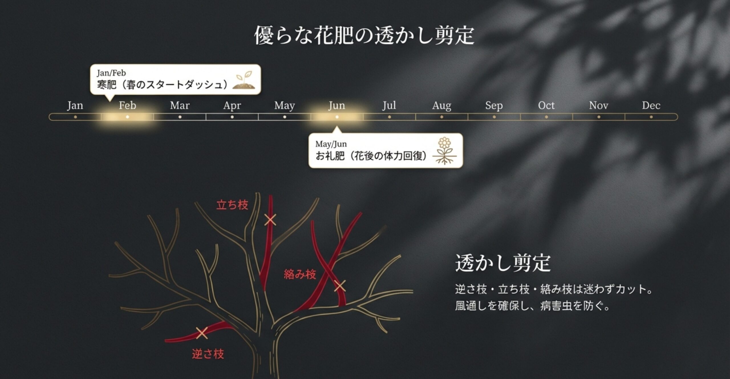 カットすべき逆さ枝・立ち枝・絡み枝の図解と、年間を通した肥料(寒肥・お礼肥)のタイミングをまとめたスライド