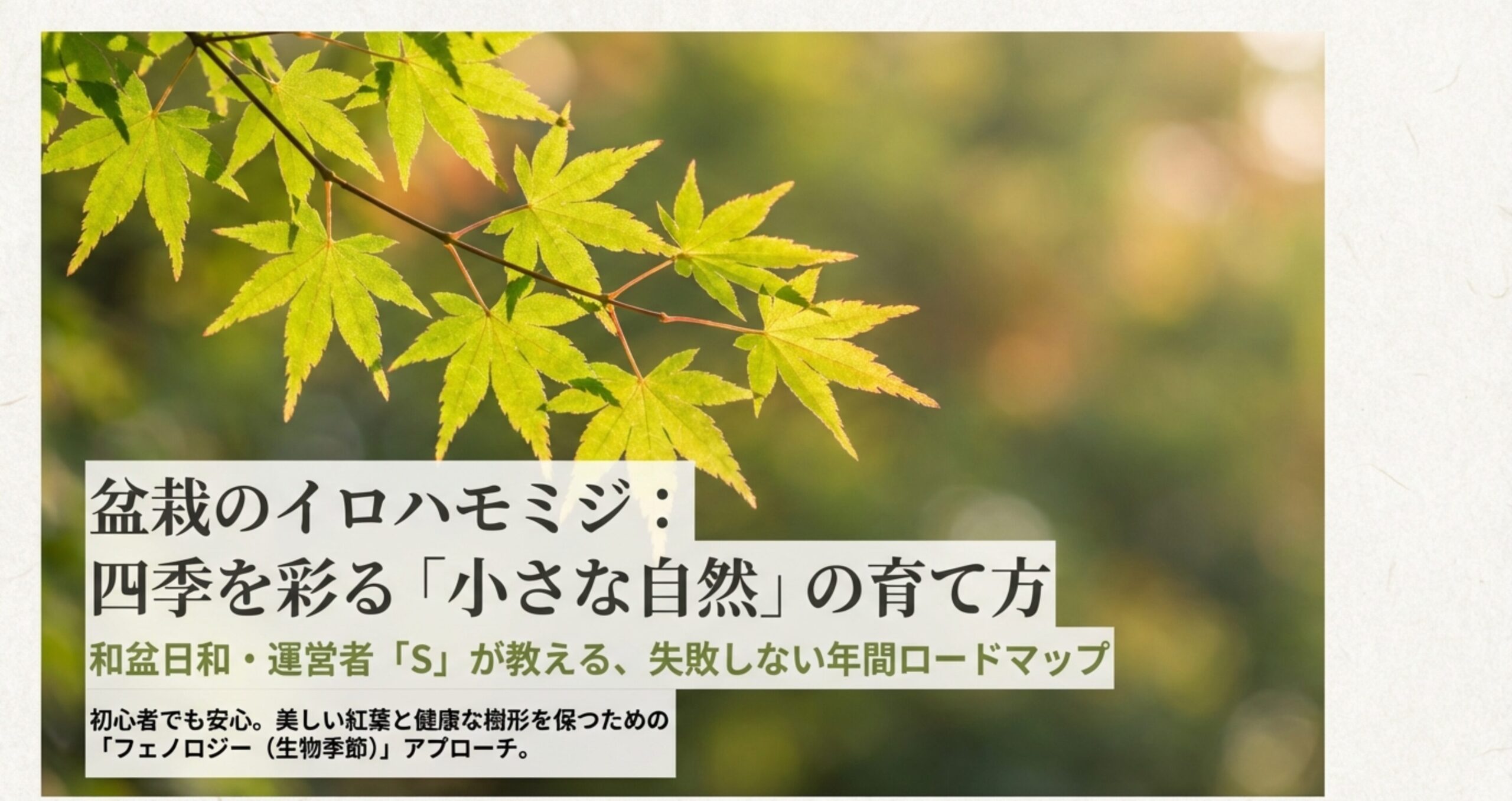 盆栽のイロハモミジ 四季を彩る小さな自然の育て方 タイトル画像