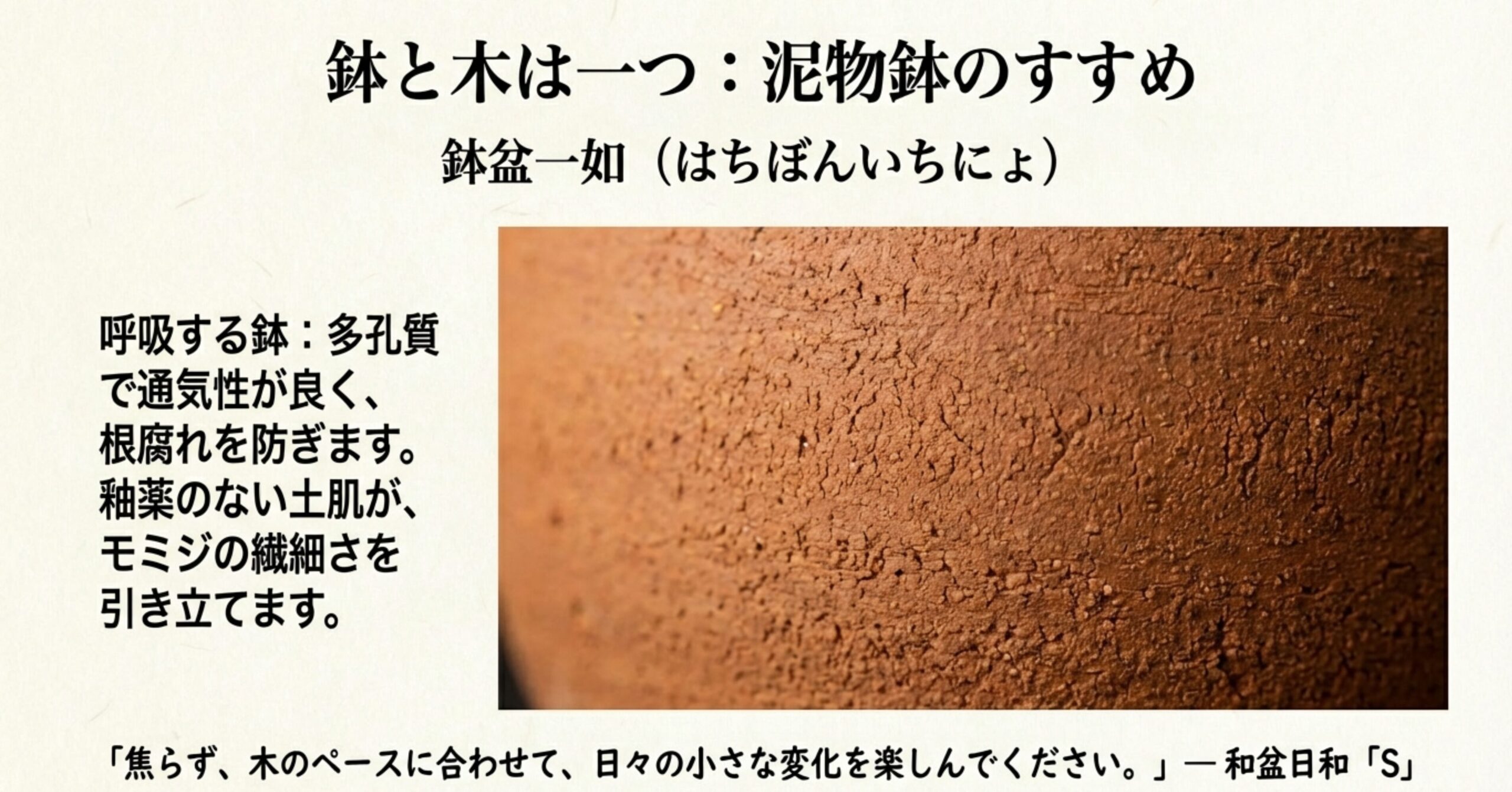 通気性が良くモミジの繊細さを引き立てる釉薬のない泥物鉢の表面画像