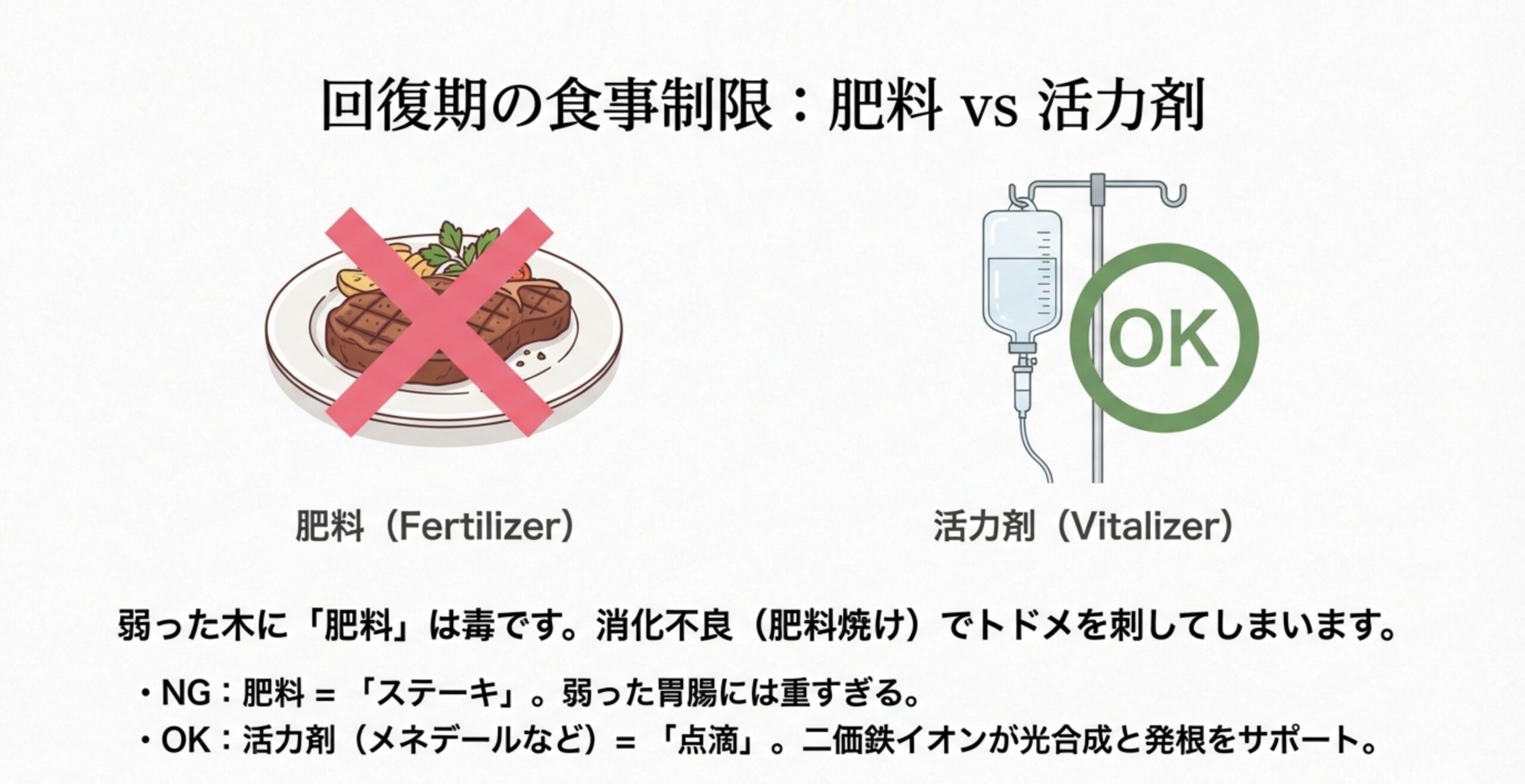 黒く腐敗した根をハサミで切り落とし、健康な根を新しい土へ植え替える様子を描いたイラスト