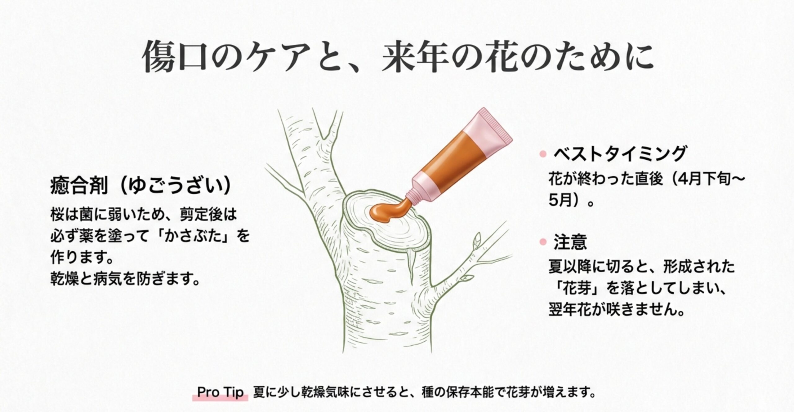 剪定後の枝の切り口に、チューブから癒合剤を塗布して傷口を保護しているイラスト