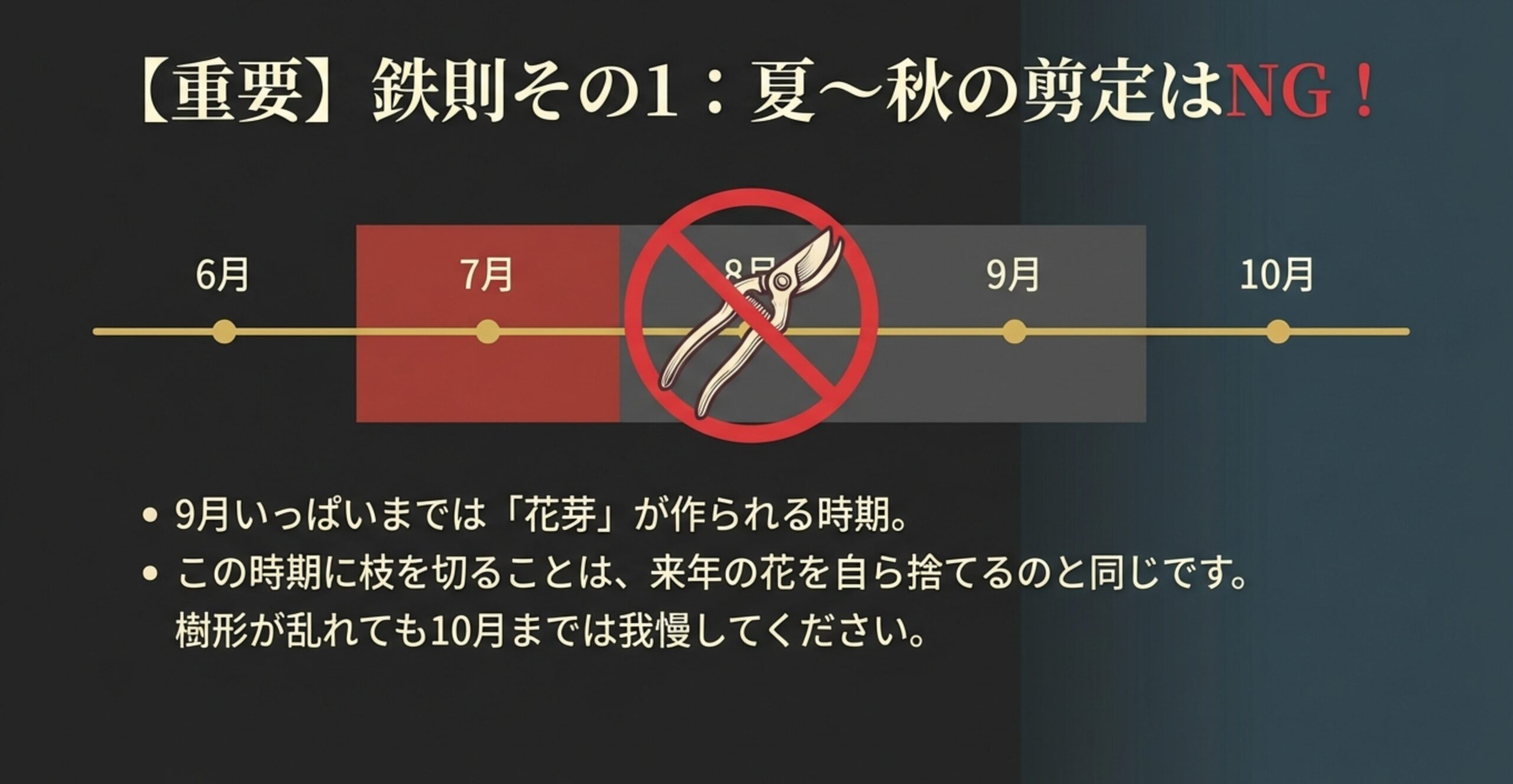 6月から10月のタイムライン図。7月から9月にかけての時期に枝を切ることは、作られた花芽を自ら捨てるのと同じであるという警告スライド 。
