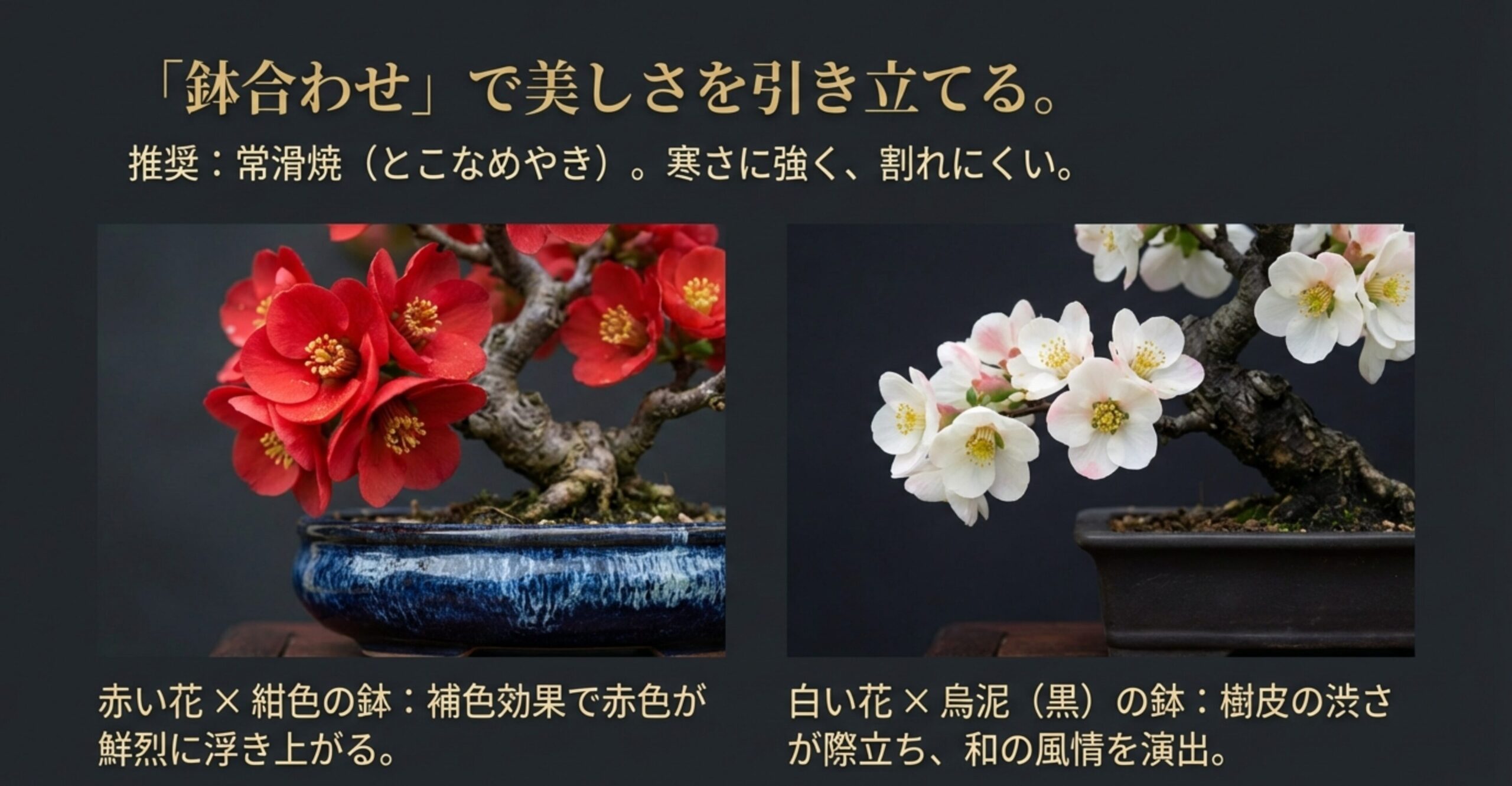 赤い花と紺色の鉢、白い花と烏泥(黒)の鉢の組み合わせ例の写真。常滑焼を用いた色彩効果と和の風情の演出についてのスライド 。