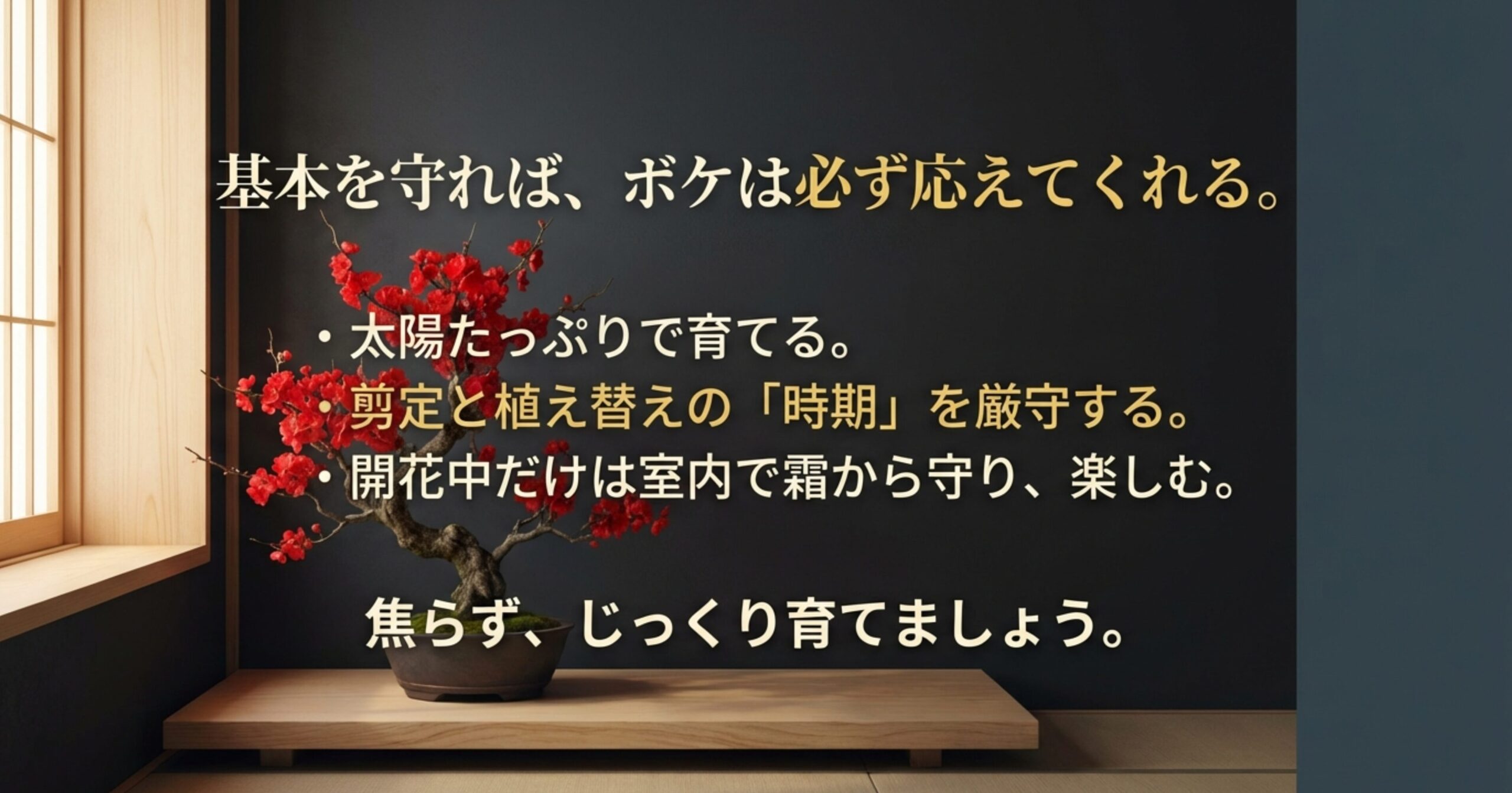 太陽に当てる、剪定と植え替えの時期の厳守、開花中の室内管理など、ボケを育てるための基本ルールのまとめスライド 。
